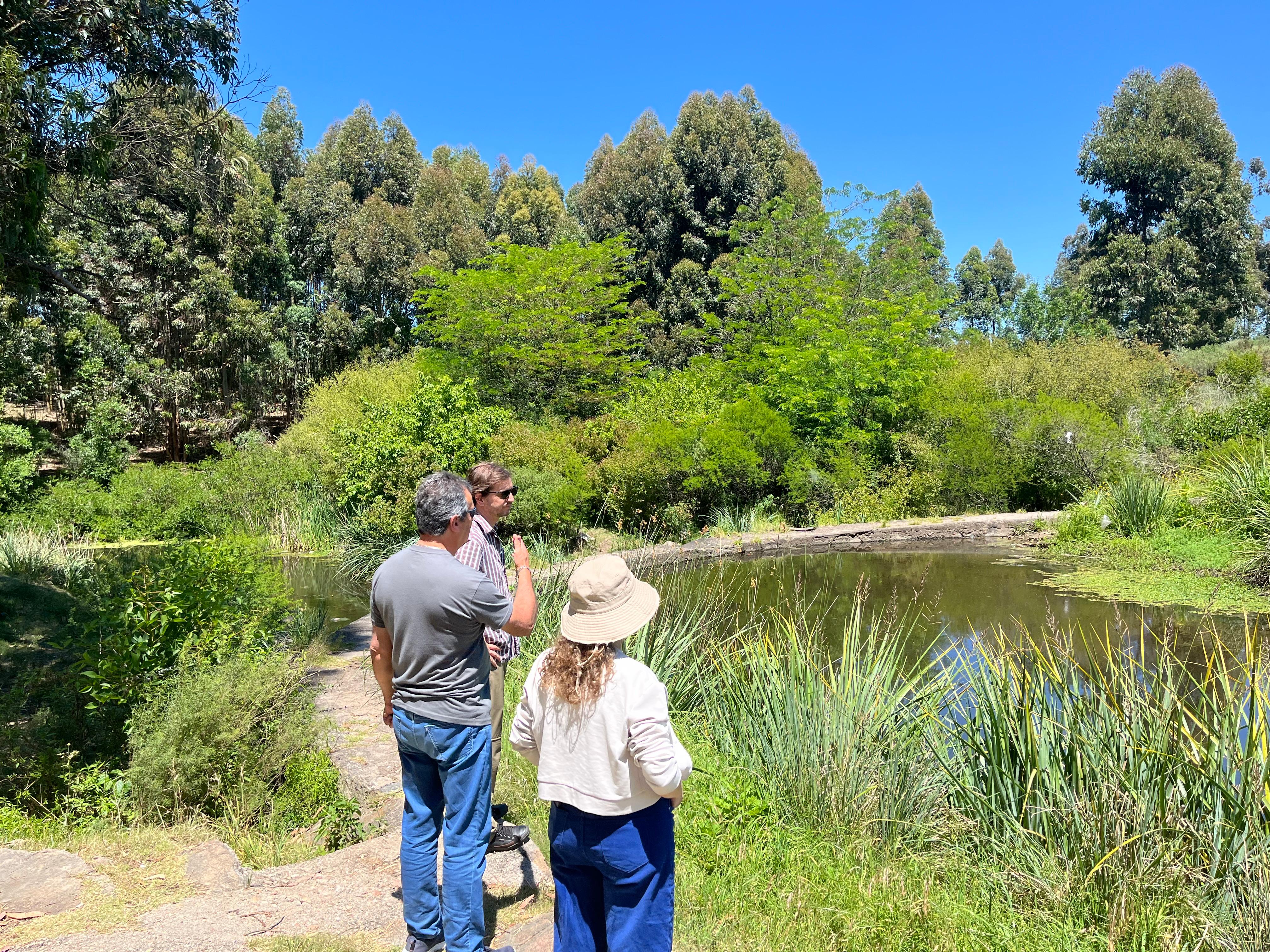 MEJORAMIENTO DEL PARQUE MEIRELES.