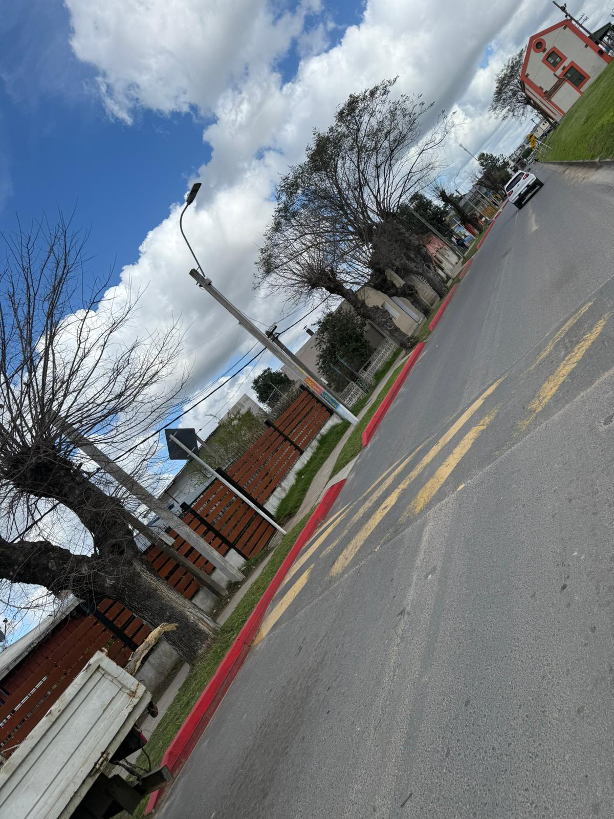 Cooperativa Cempan realizó trabajos de poda y mantenimiento en nuestro municipio