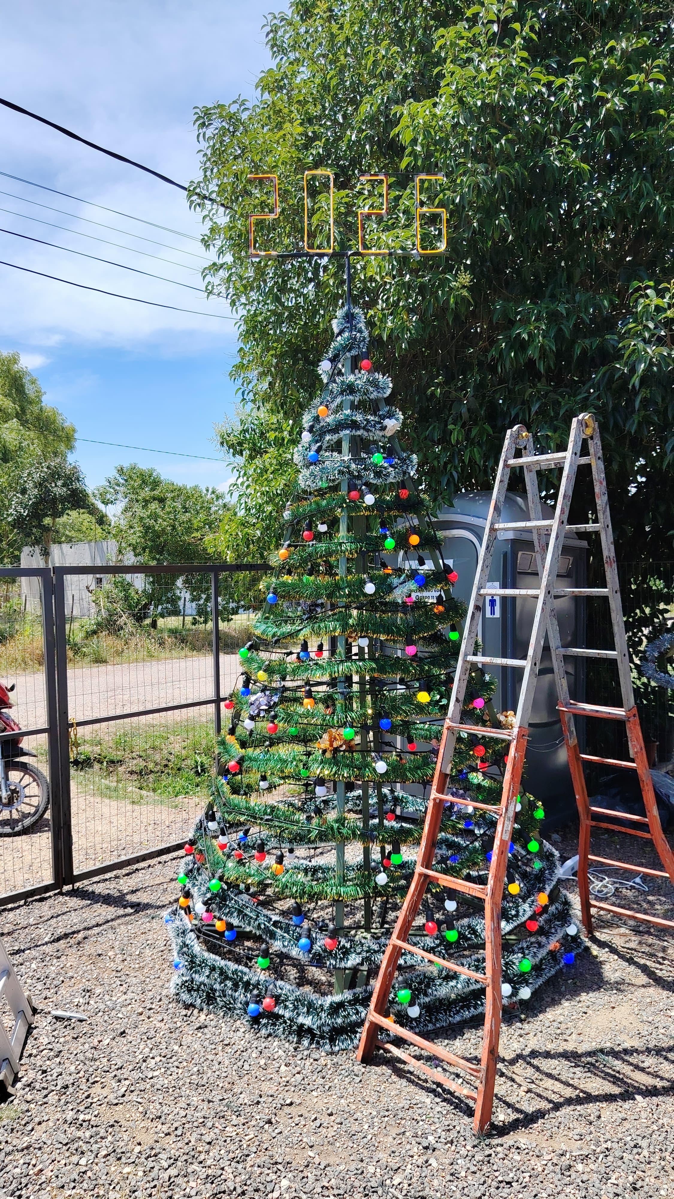 Nuevo arbolito de Navidad en la Plaza Diego Pons.