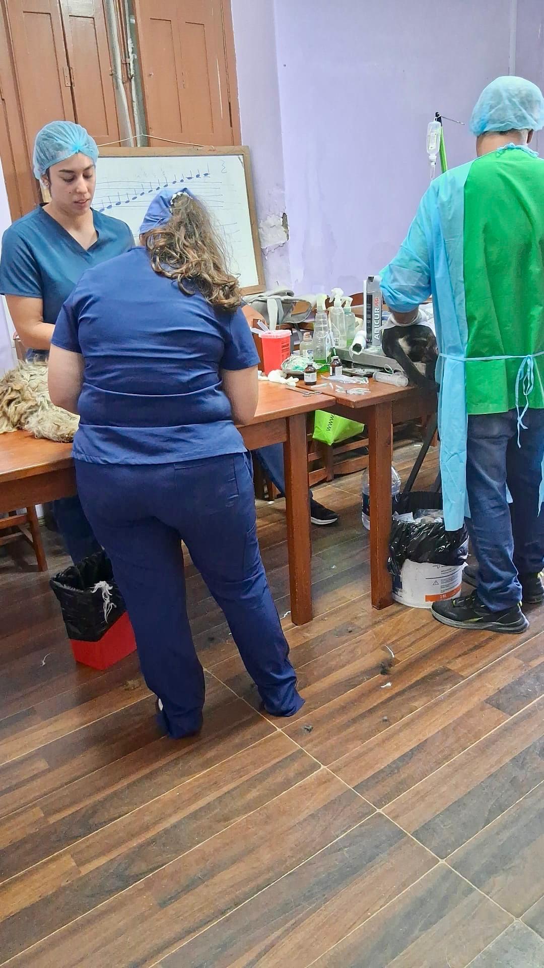 Jornada de castración gratuita en Joaquín Suárez.