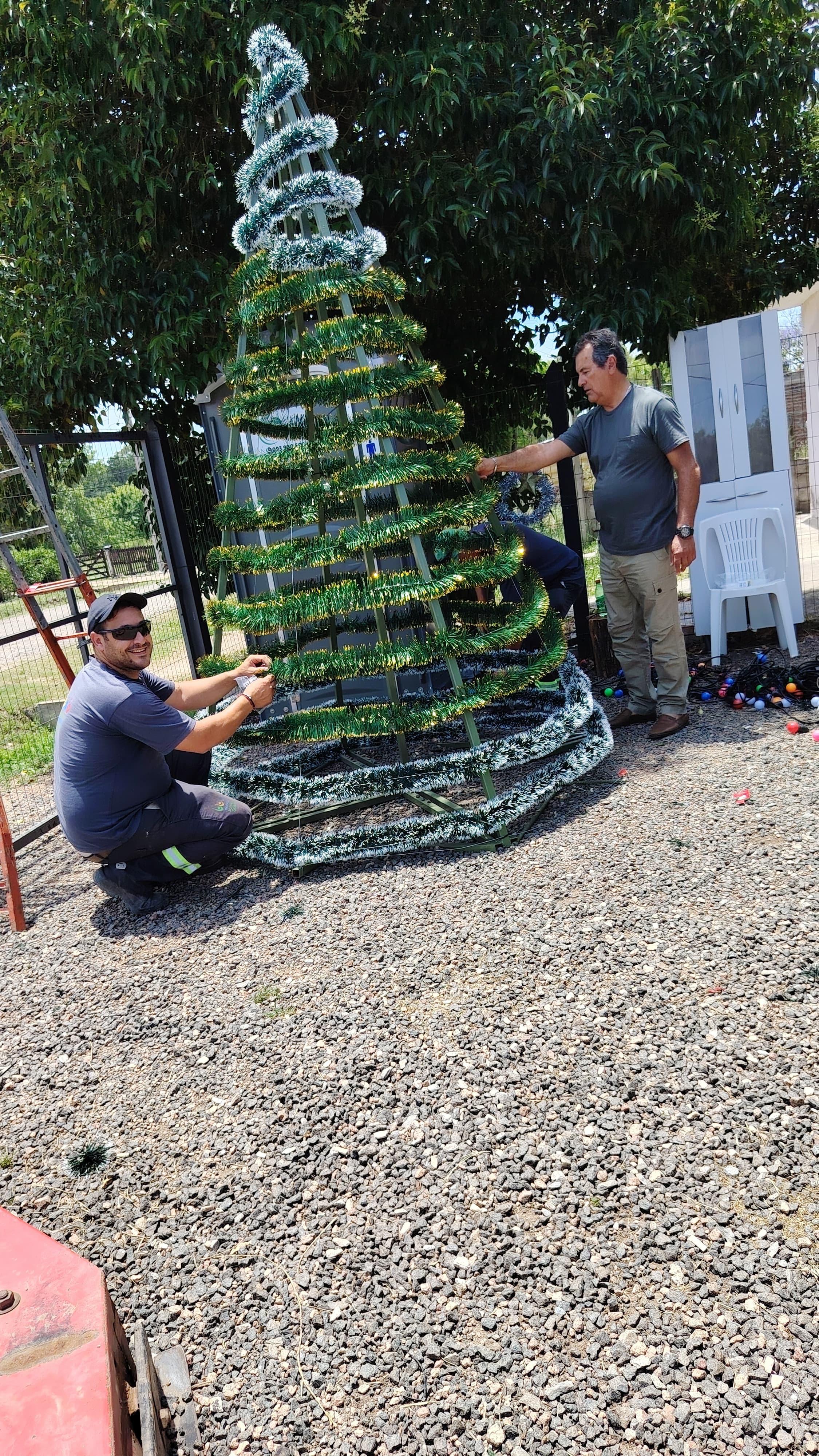 Nuevo arbolito de Navidad en la Plaza Diego Pons.