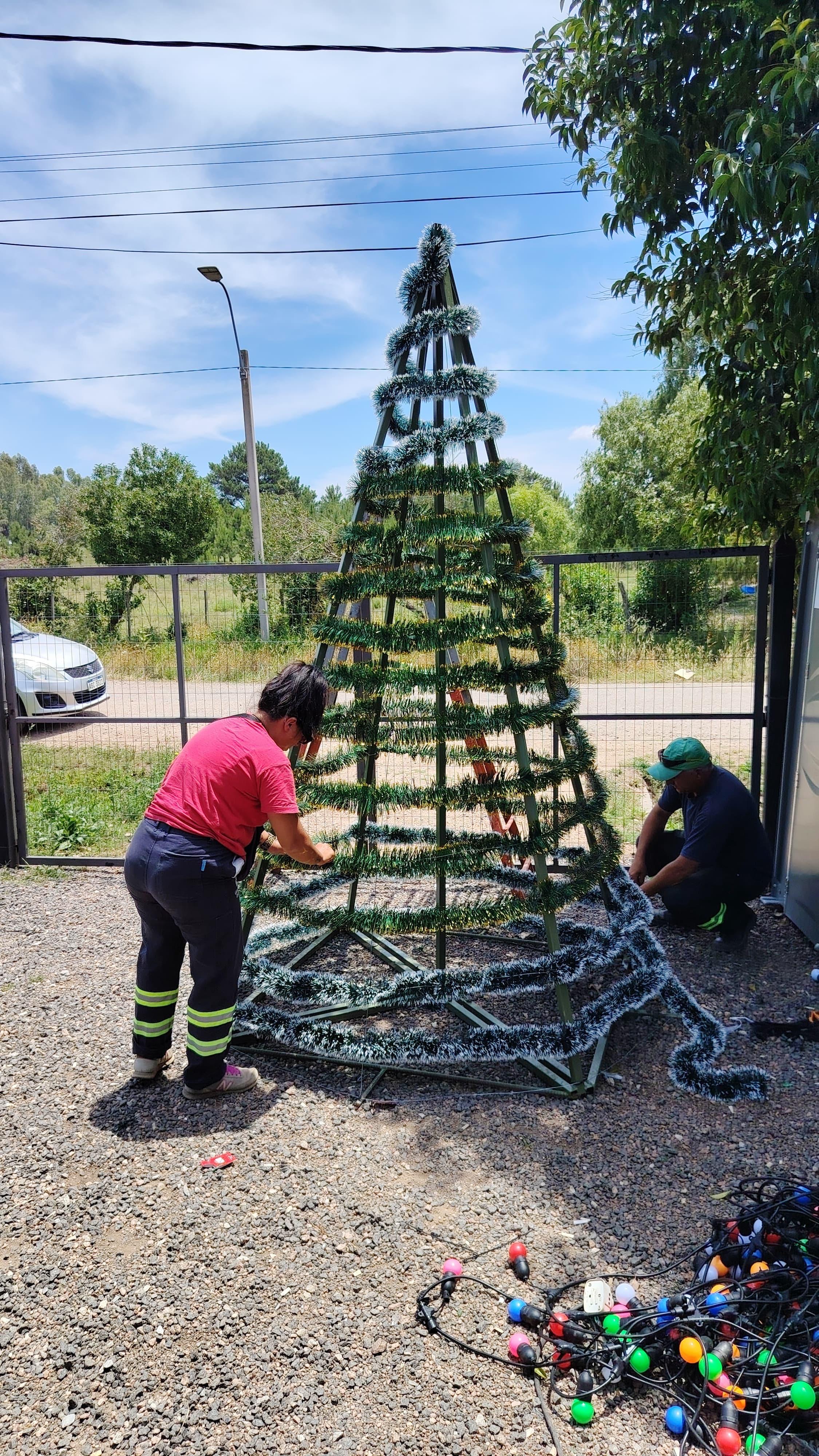 Nuevo arbolito de Navidad en la Plaza Diego Pons.