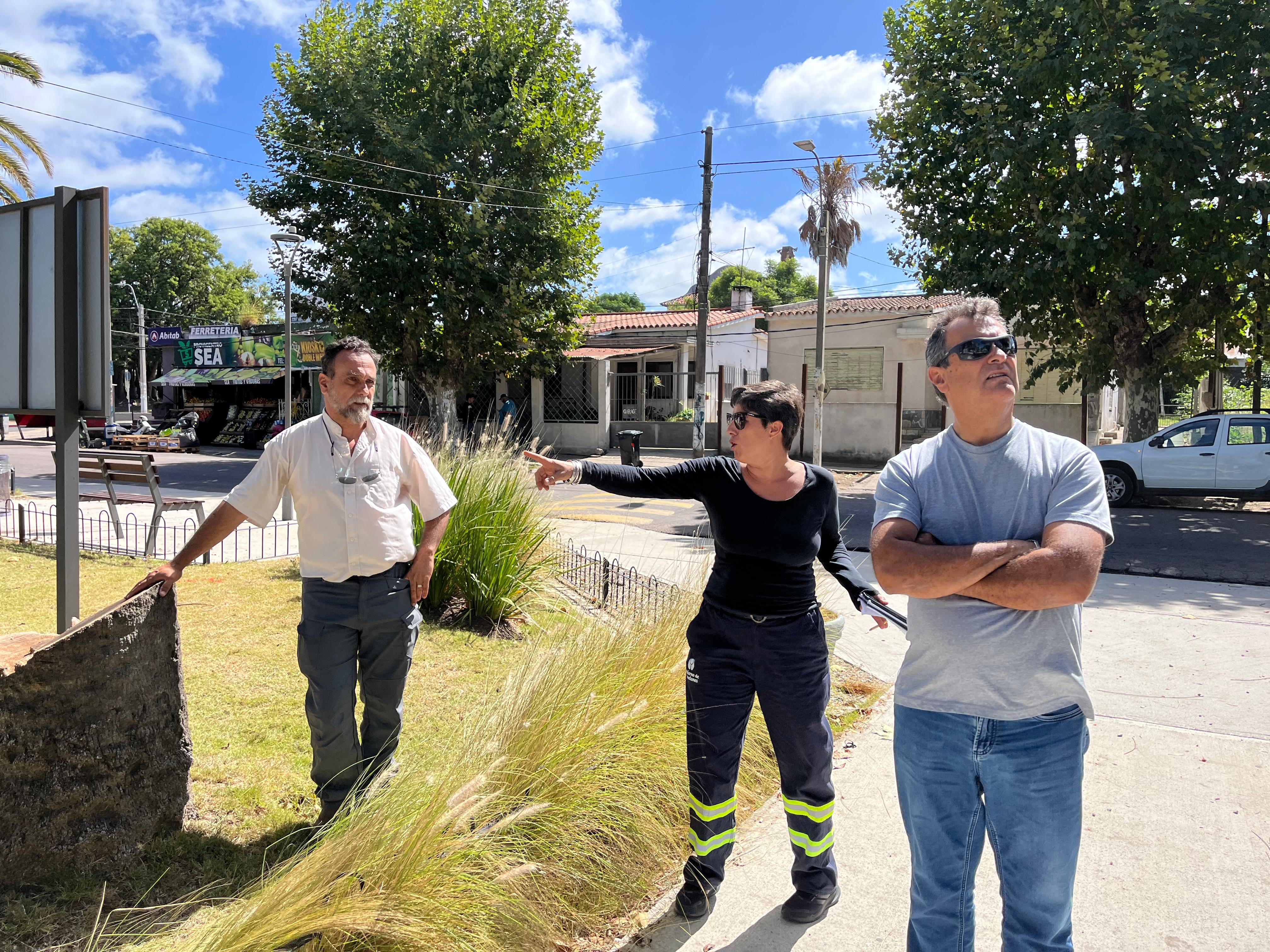 TRATAMIENTOS Y EVALUACIÓN DE REFORESTACIÓN EN LA PLAZA DIEGO PONS.