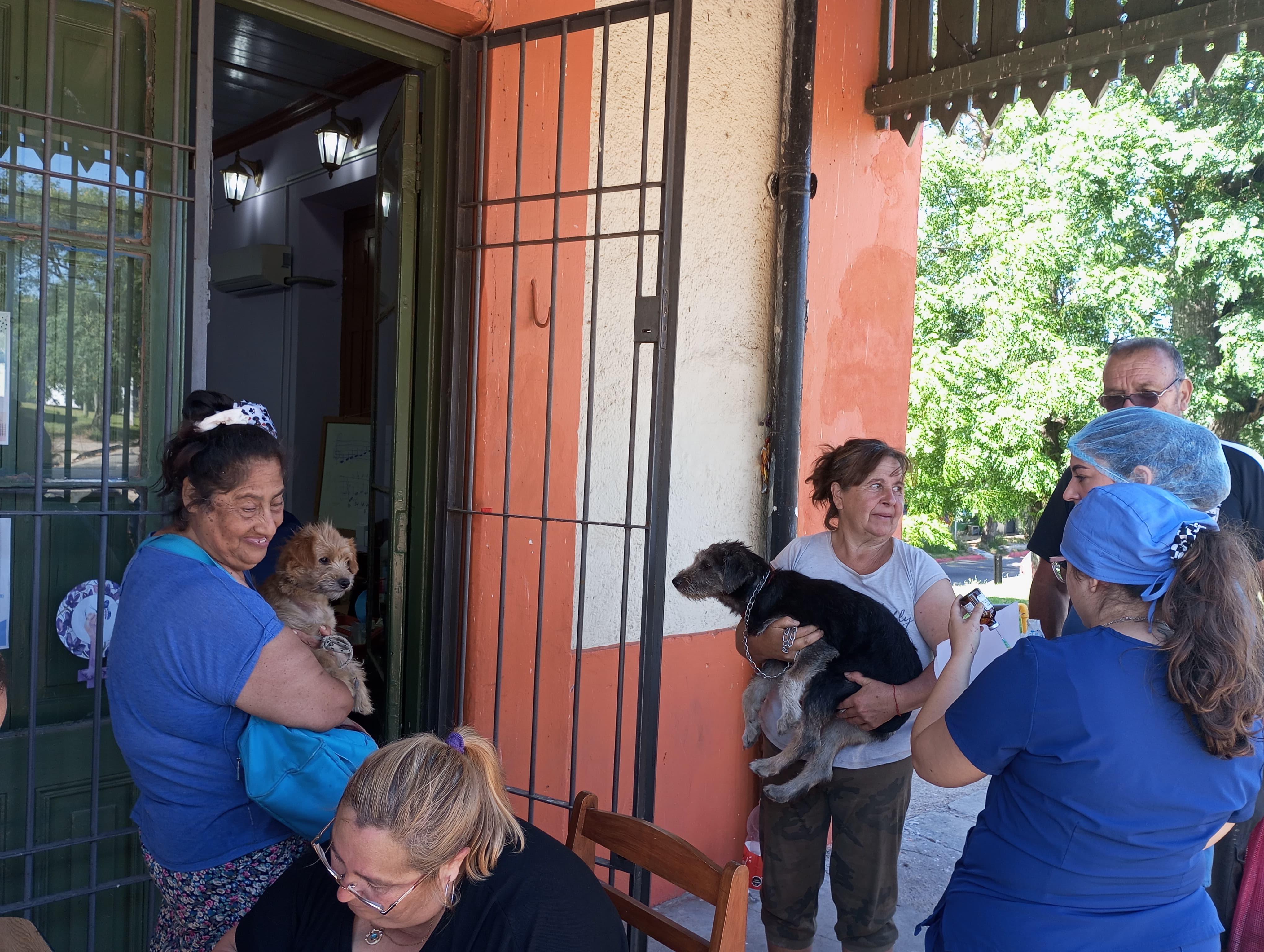 Jornada de castración gratuita en Joaquín Suárez.