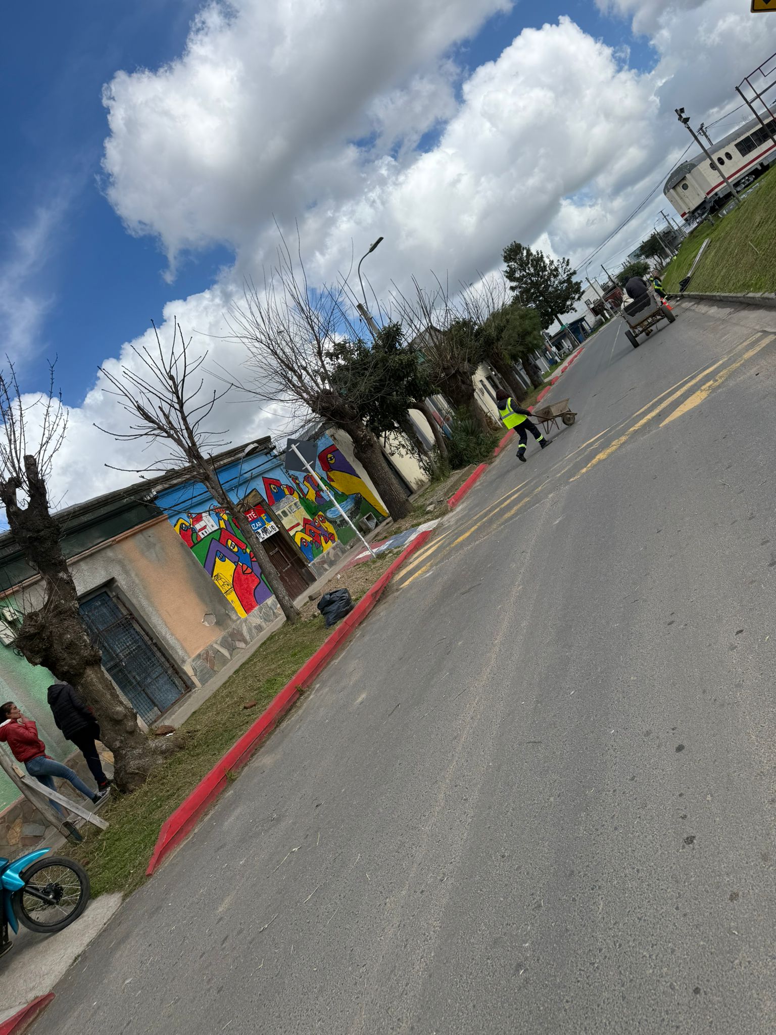 Cooperativa Cempan realizó trabajos de poda y mantenimiento en nuestro municipio