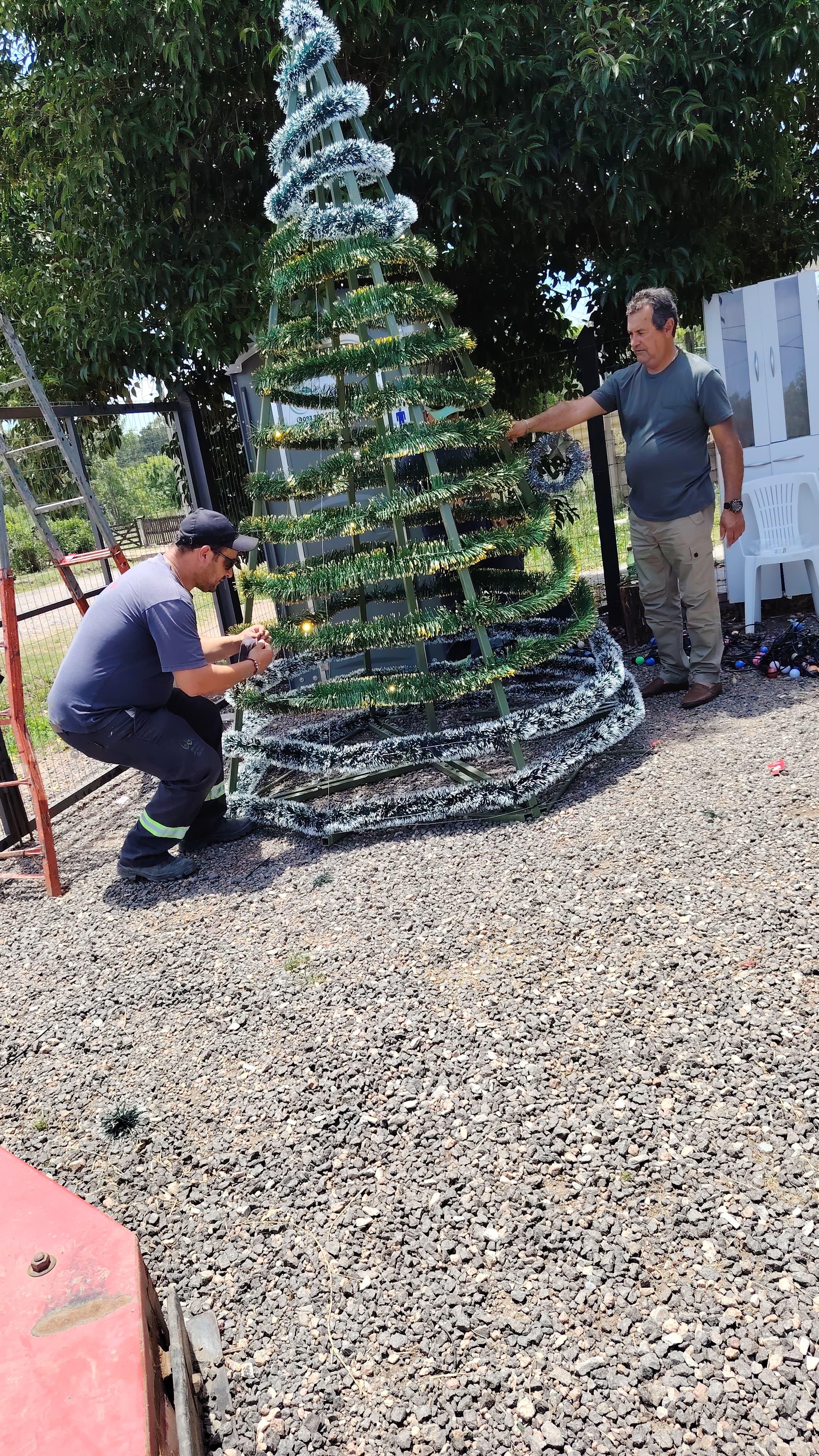 Nuevo arbolito de Navidad en la Plaza Diego Pons.