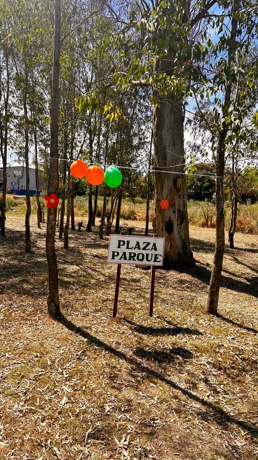 LA ORGANIZACIÓN VECINAL QUE TRANSFORMA LA 