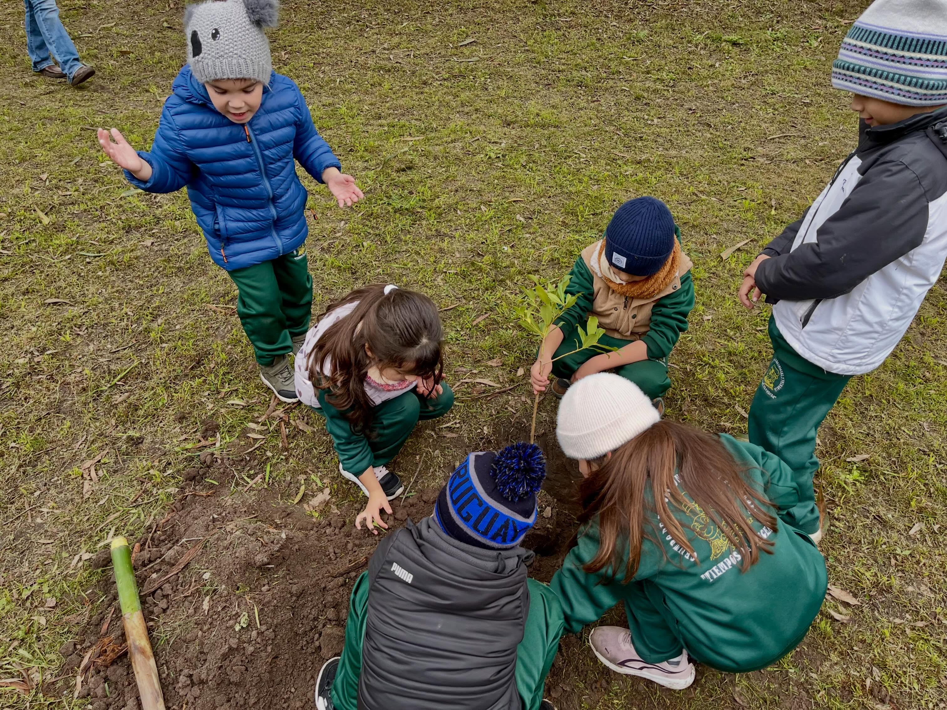 Plantación de árboles nativos en el Parque Meireles “Programa Raíces”.