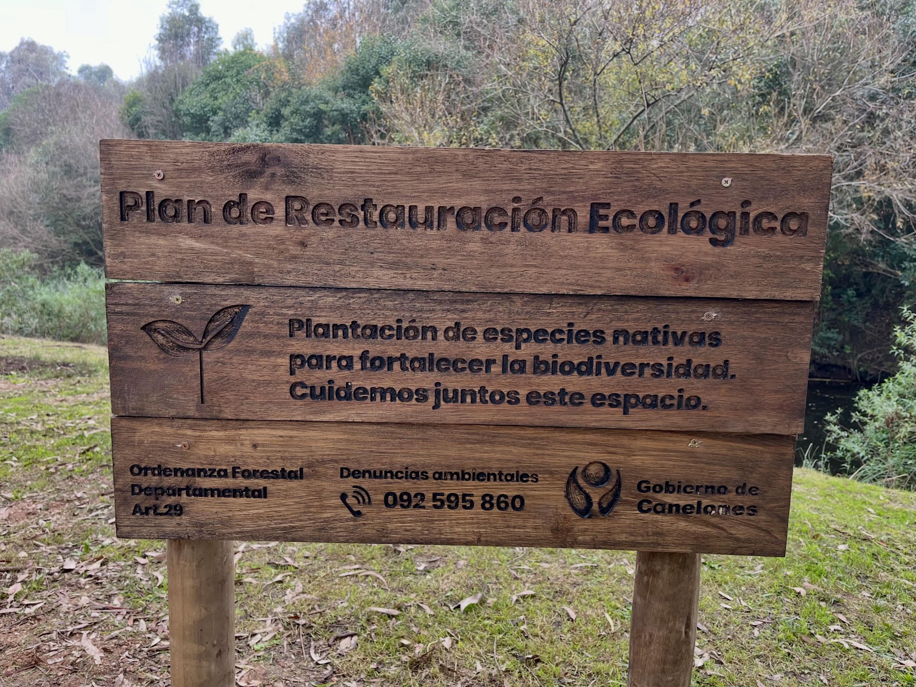 Plantación de árboles nativos en el Parque Meireles “Programa Raíces”.