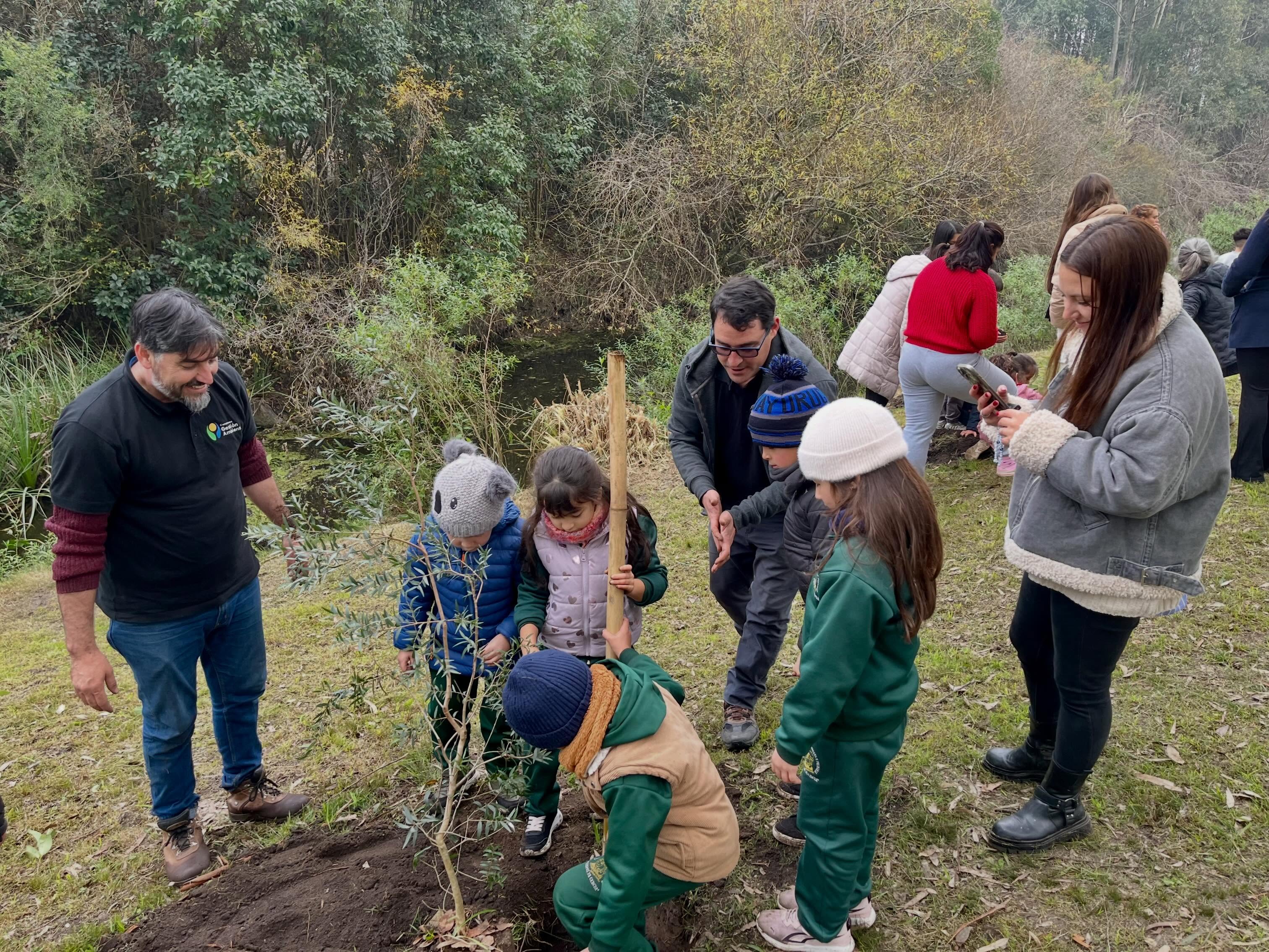 Plantación de árboles nativos en el Parque Meireles “Programa Raíces”.