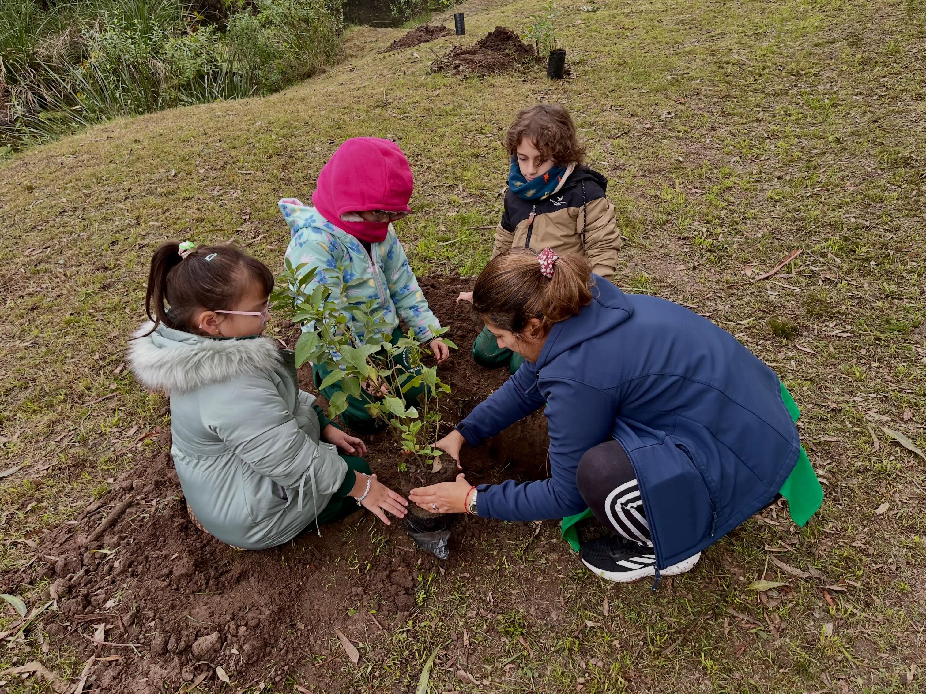Plantación de árboles nativos en el Parque Meireles “Programa Raíces”.