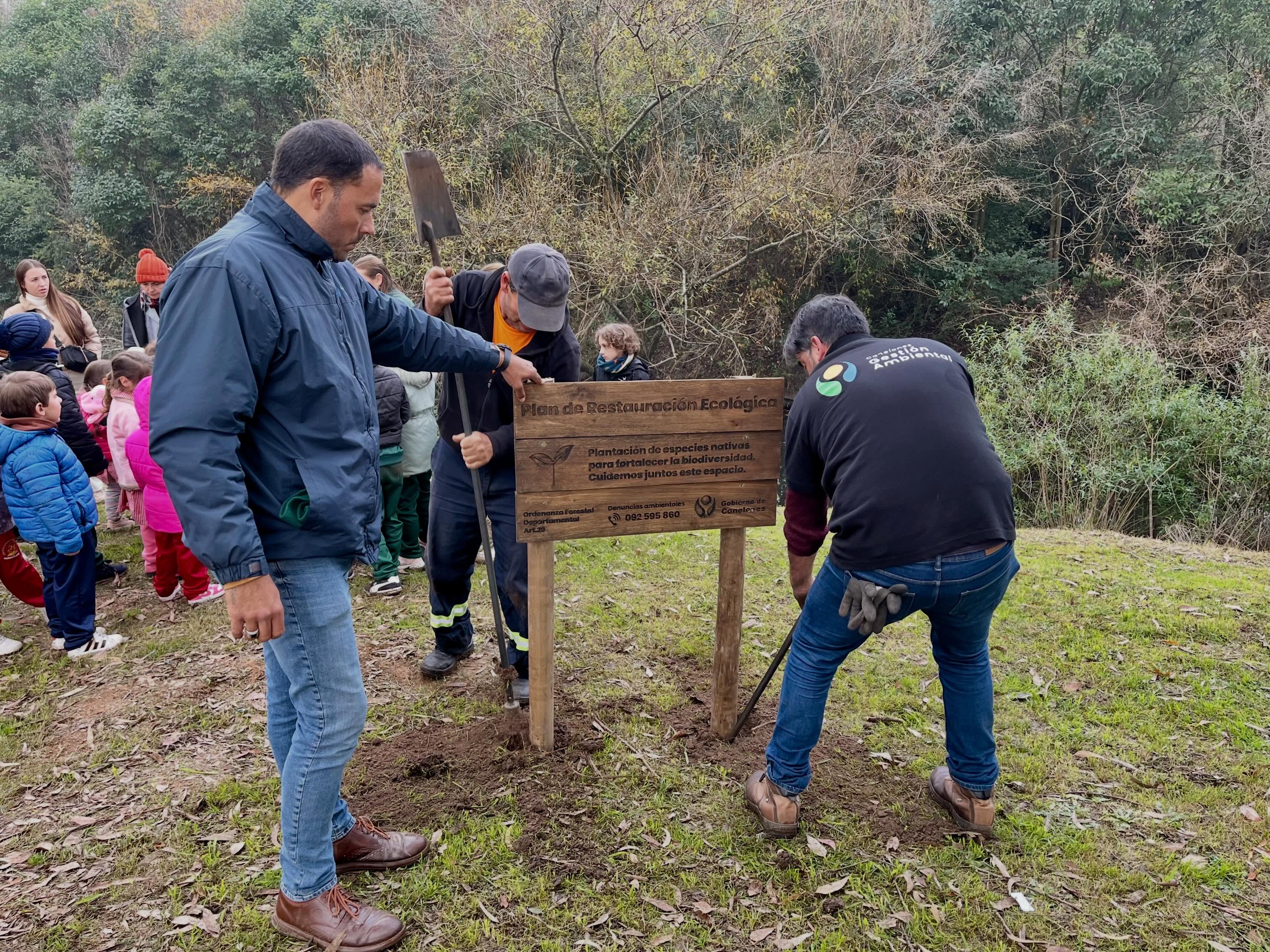 Plantación de árboles nativos en el Parque Meireles “Programa Raíces”.