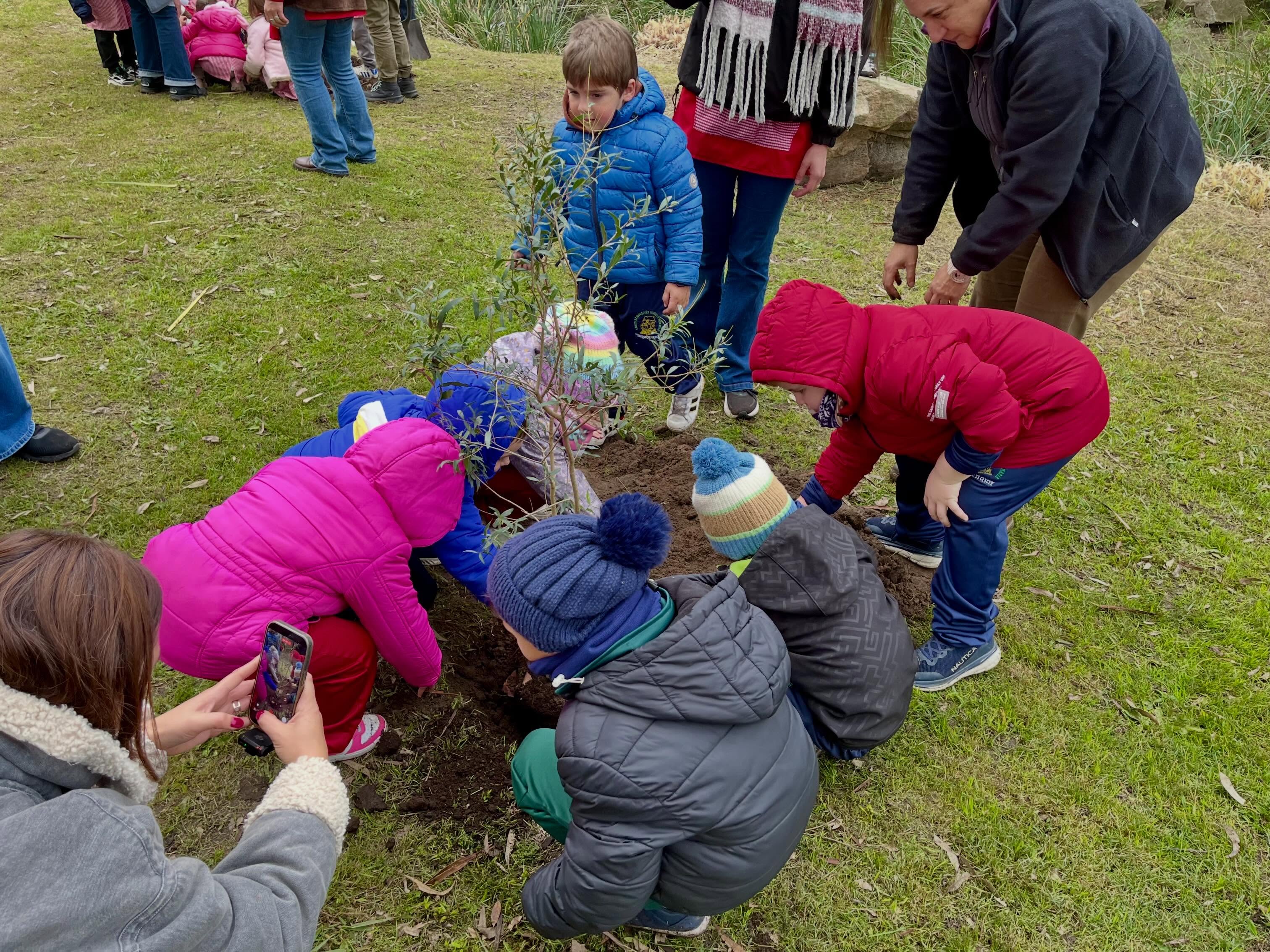 Plantación de árboles nativos en el Parque Meireles “Programa Raíces”.