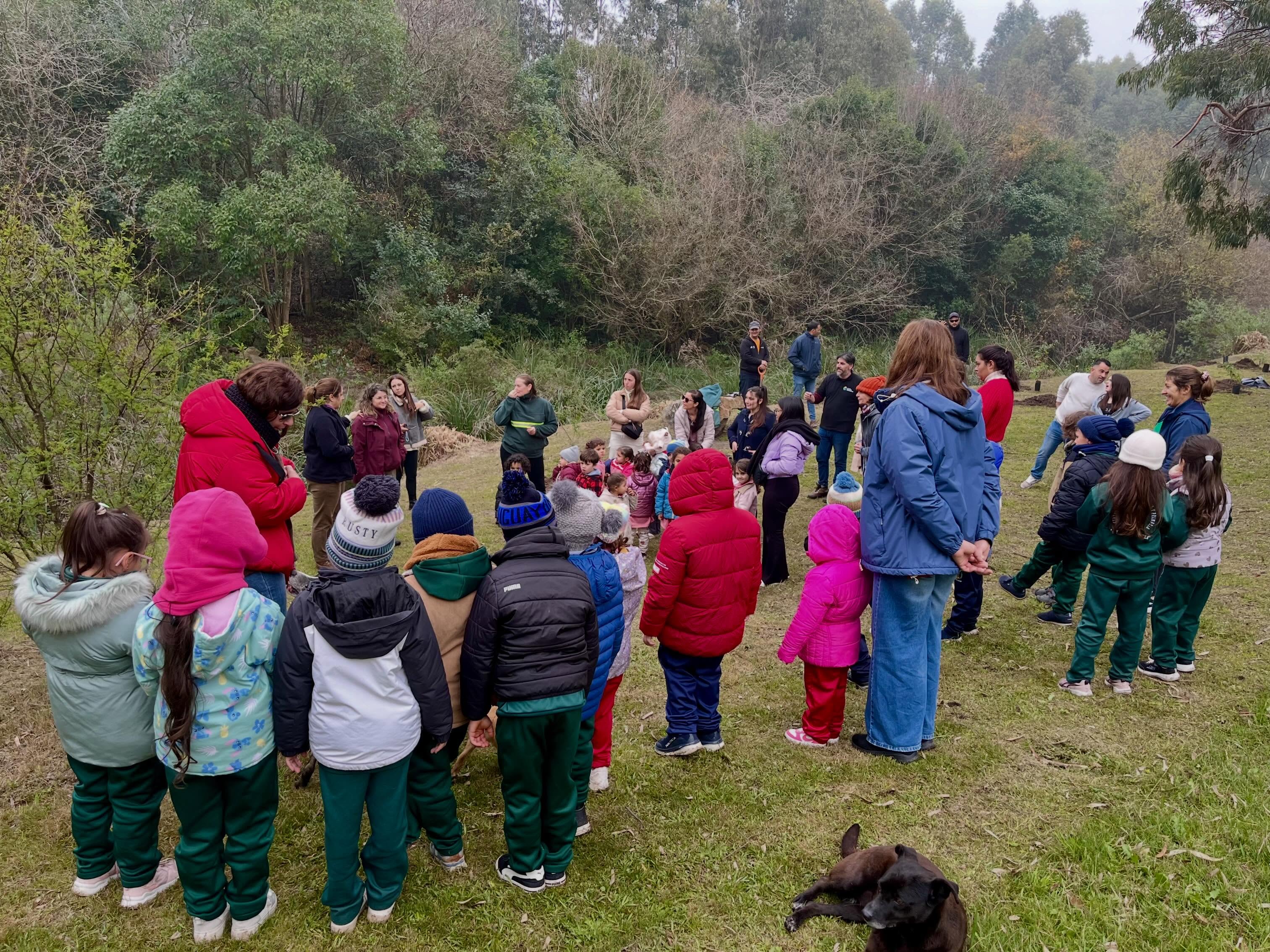 Plantación de árboles nativos en el Parque Meireles “Programa Raíces”.