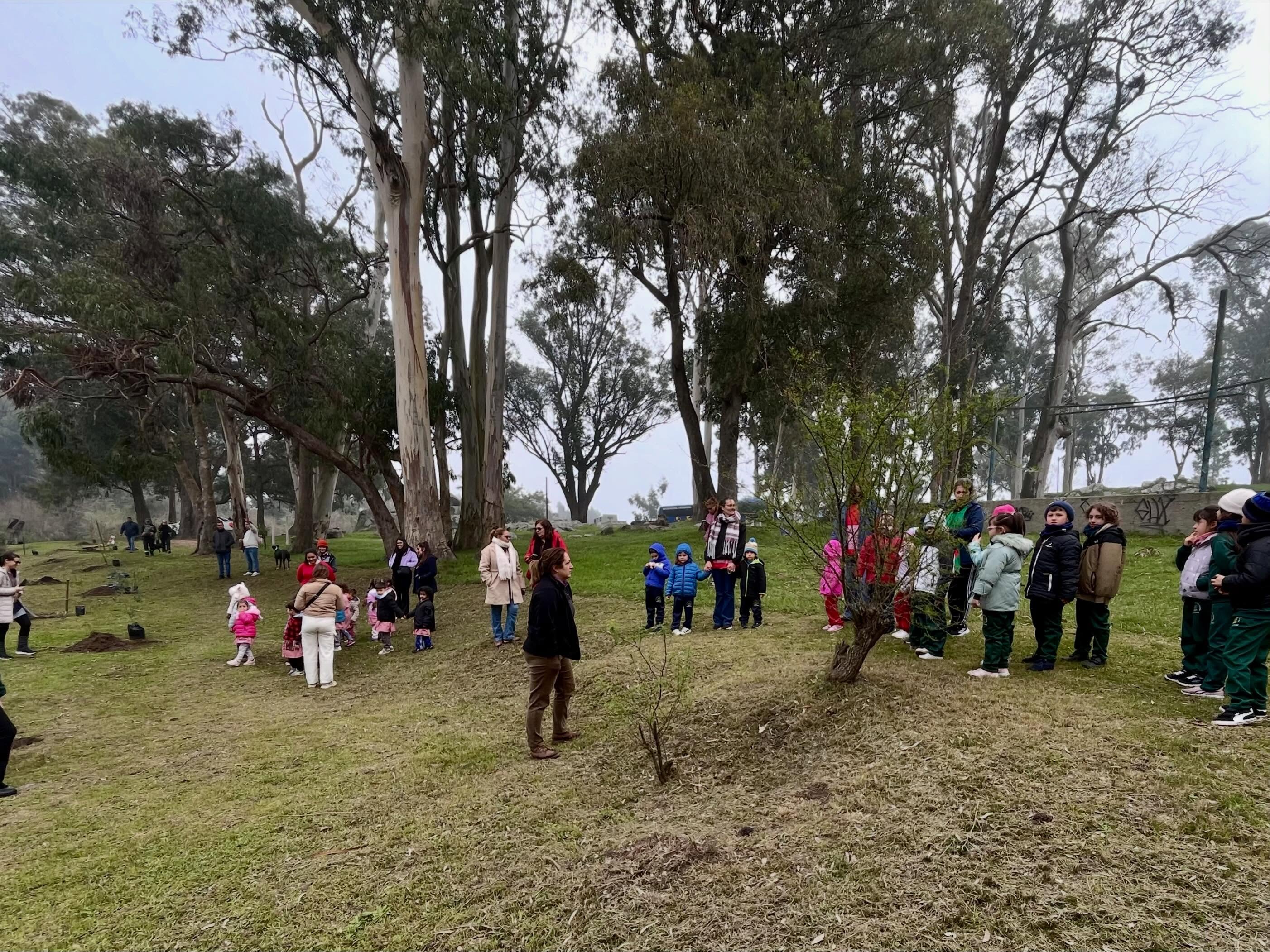 Plantación de árboles nativos en el Parque Meireles “Programa Raíces”.