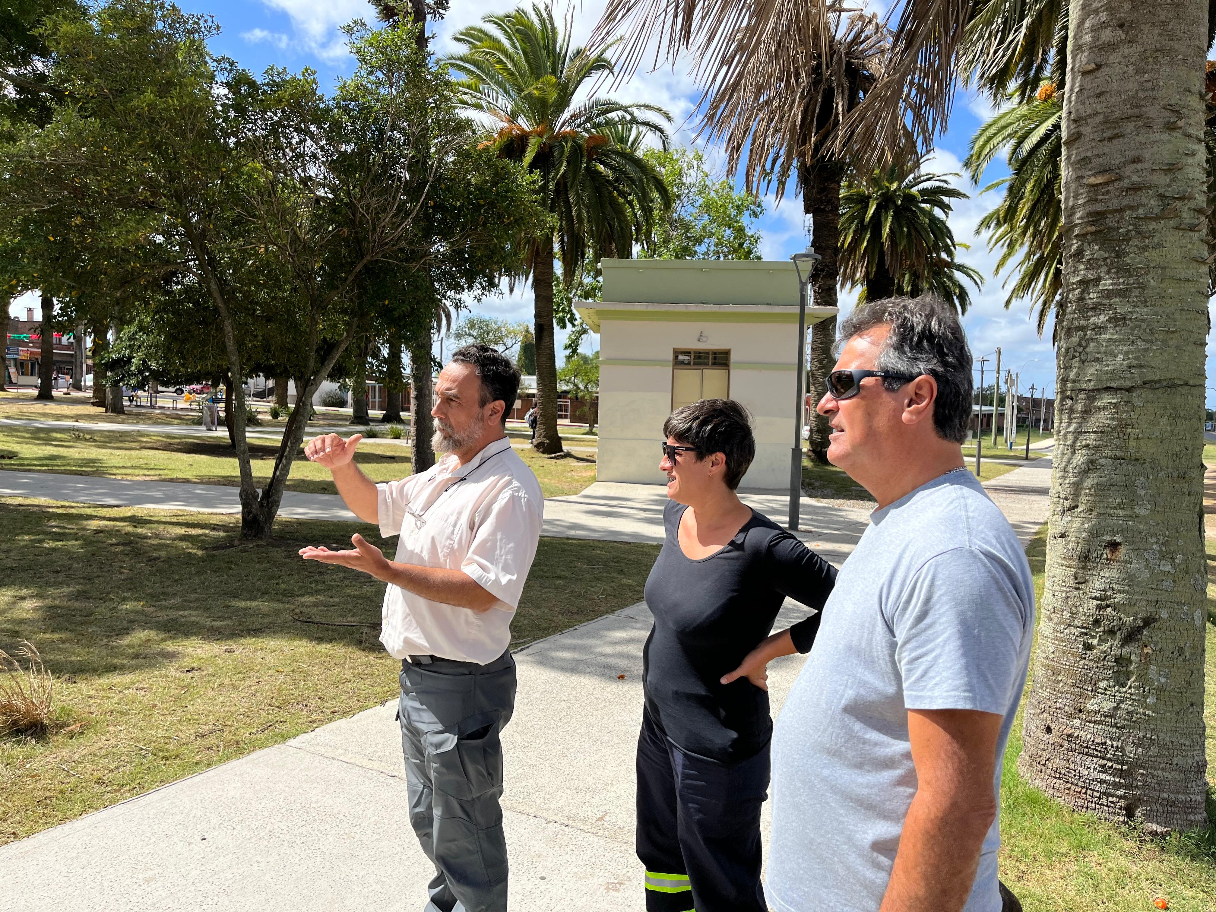TRATAMIENTOS Y EVALUACIÓN DE REFORESTACIÓN EN LA PLAZA DIEGO PONS.