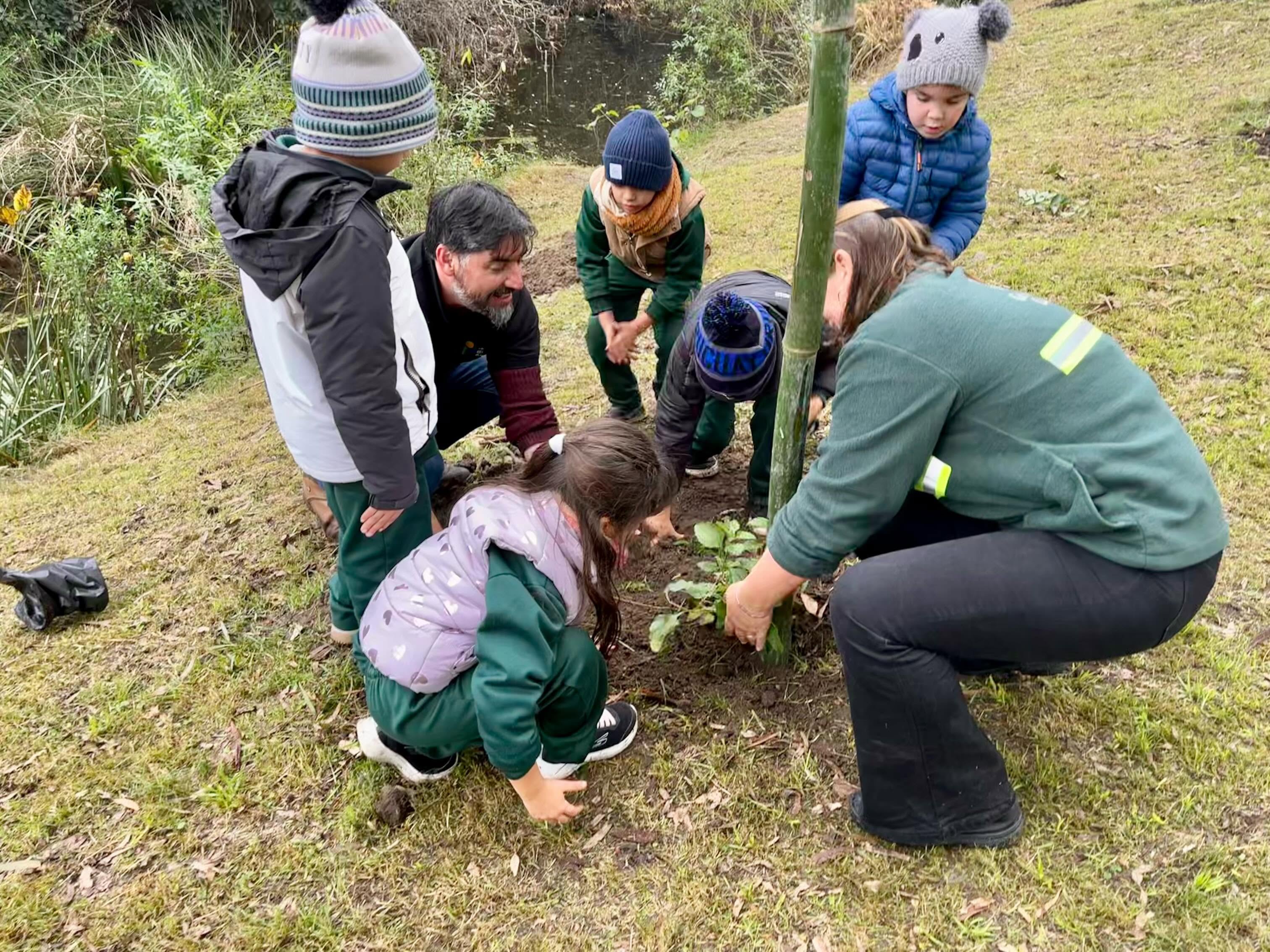 Plantación de árboles nativos en el Parque Meireles “Programa Raíces”.