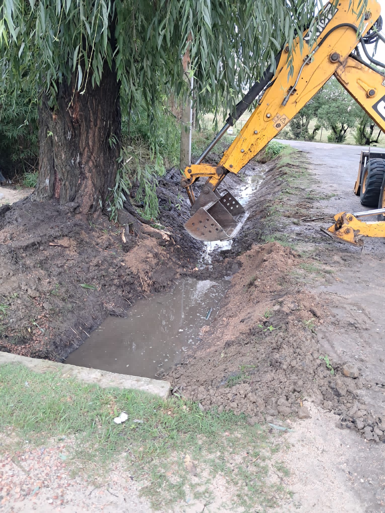 ATENCIÓN A LAS ZONAS AFECTADAS POR LA EMERGENCIA CLIMATOLÓGICA DURANTE SEMANA DE TURISMO.