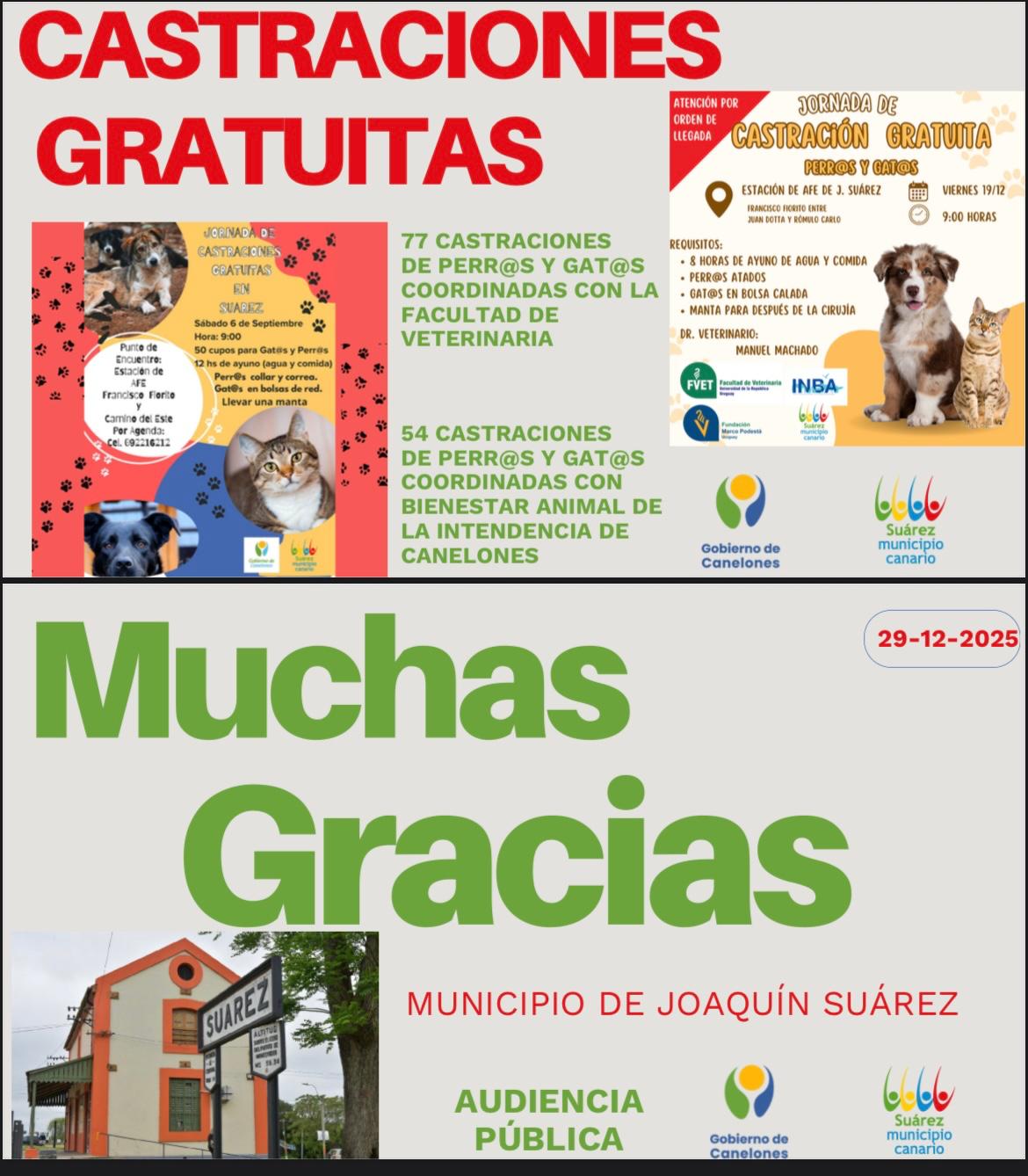 Audiencia Pública de Rendición de Cuentas – Gestión 2025.