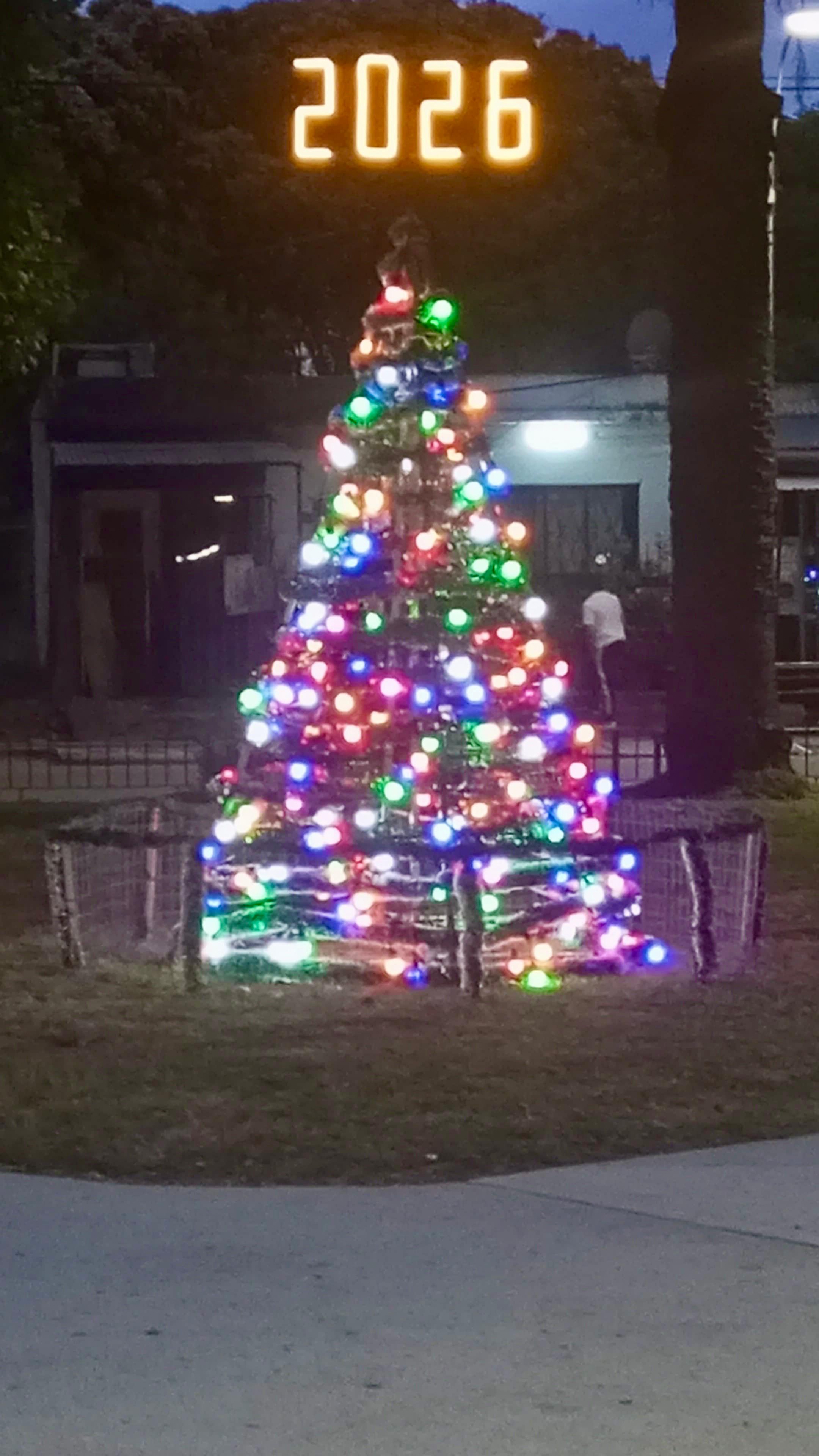 Nuevo arbolito de Navidad en la Plaza Diego Pons.