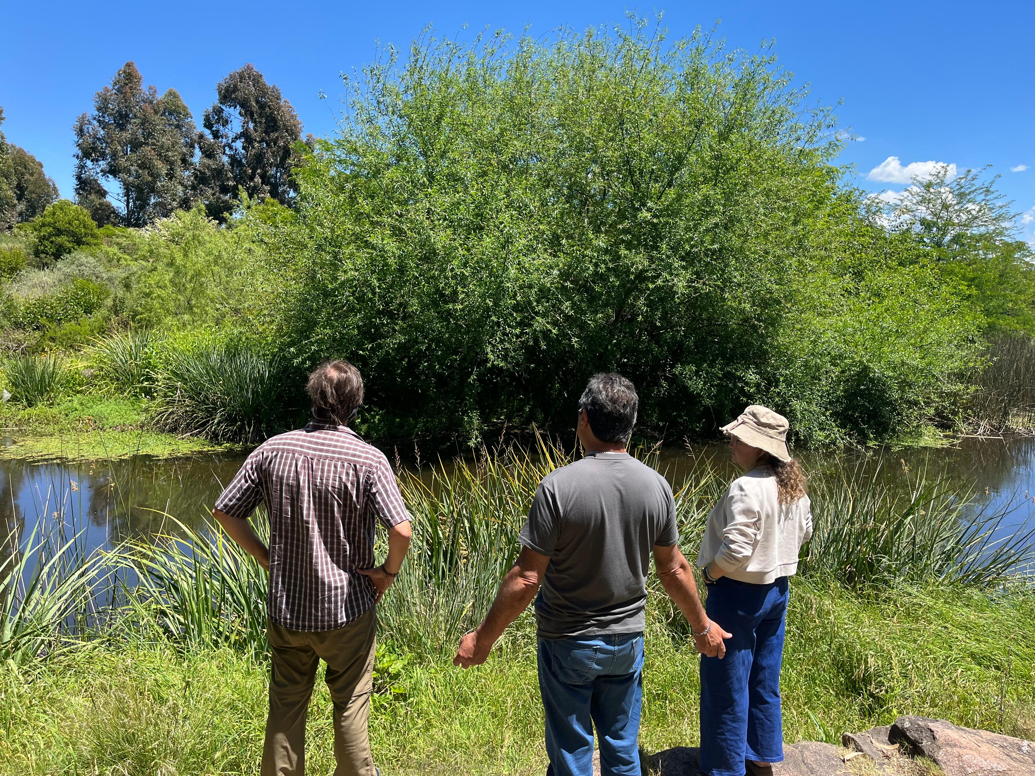 MEJORAMIENTO DEL PARQUE MEIRELES.
