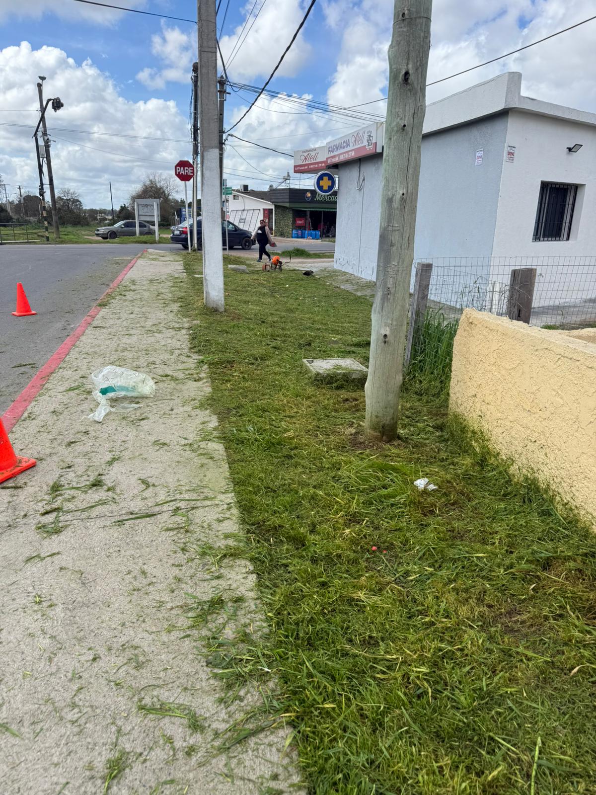 Cooperativa Cempan realizó trabajos de poda y mantenimiento en nuestro municipio