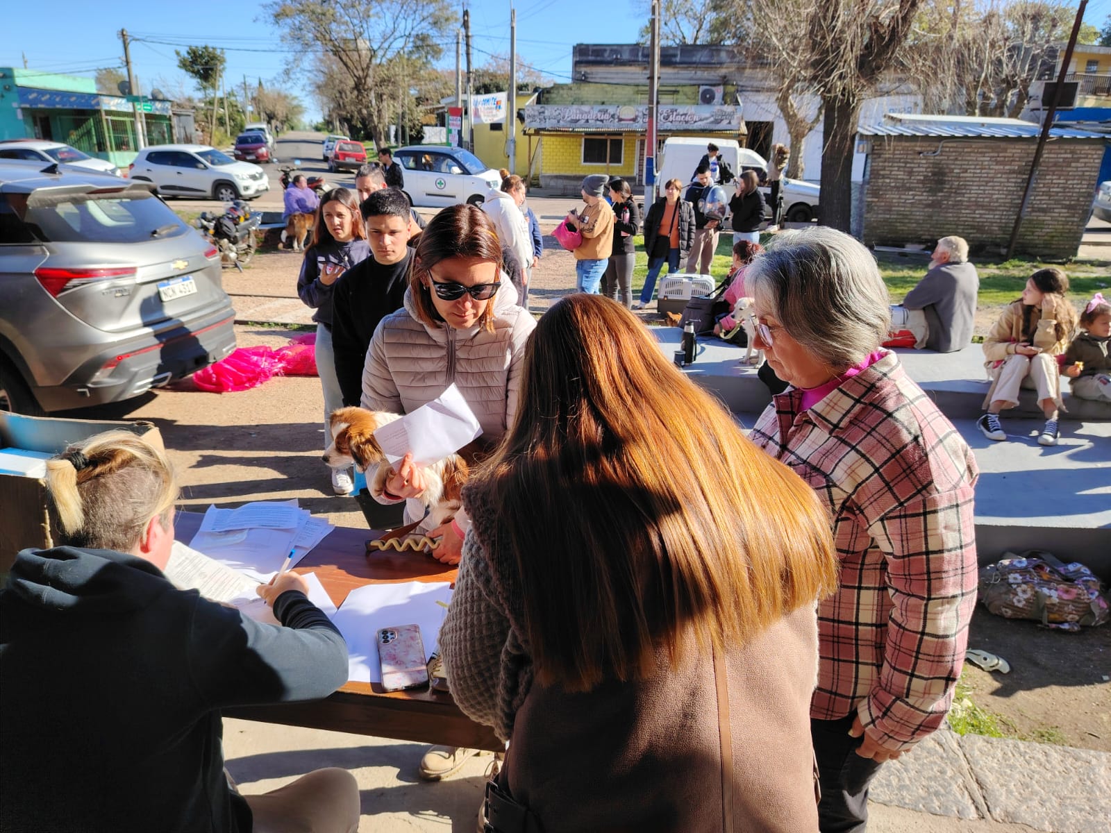 CASTRACIONES GRATUITAS EN EL MUNICIPIO DE JOAQUIN SUAREZ.