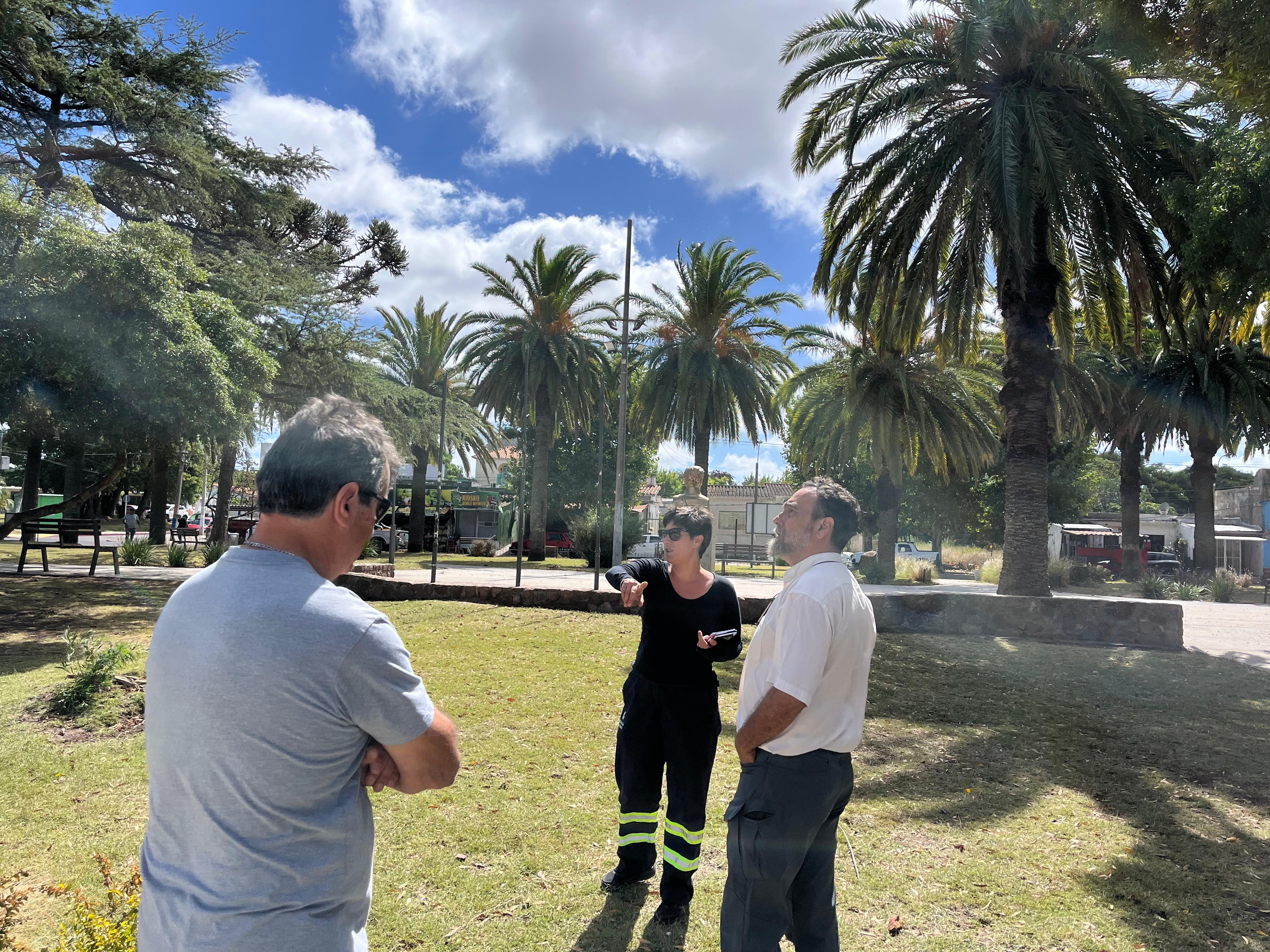 TRATAMIENTOS Y EVALUACIÓN DE REFORESTACIÓN EN LA PLAZA DIEGO PONS.