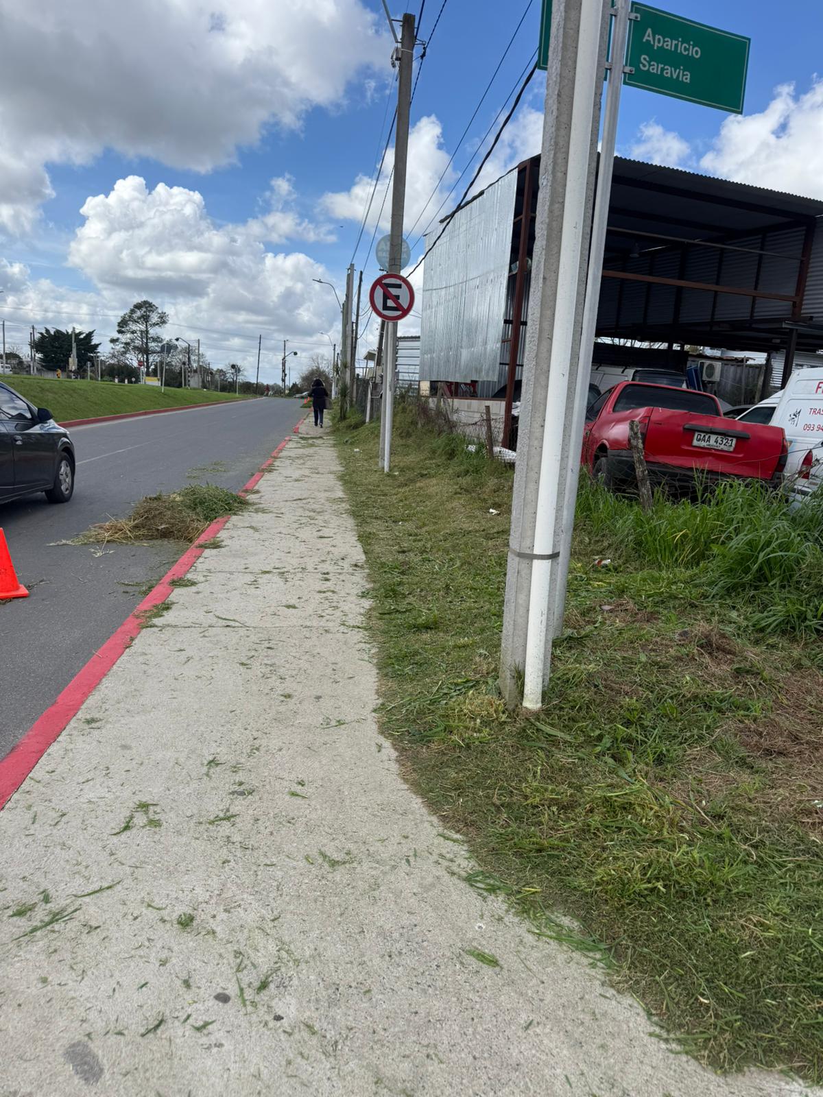 Cooperativa Cempan realizó trabajos de poda y mantenimiento en nuestro municipio