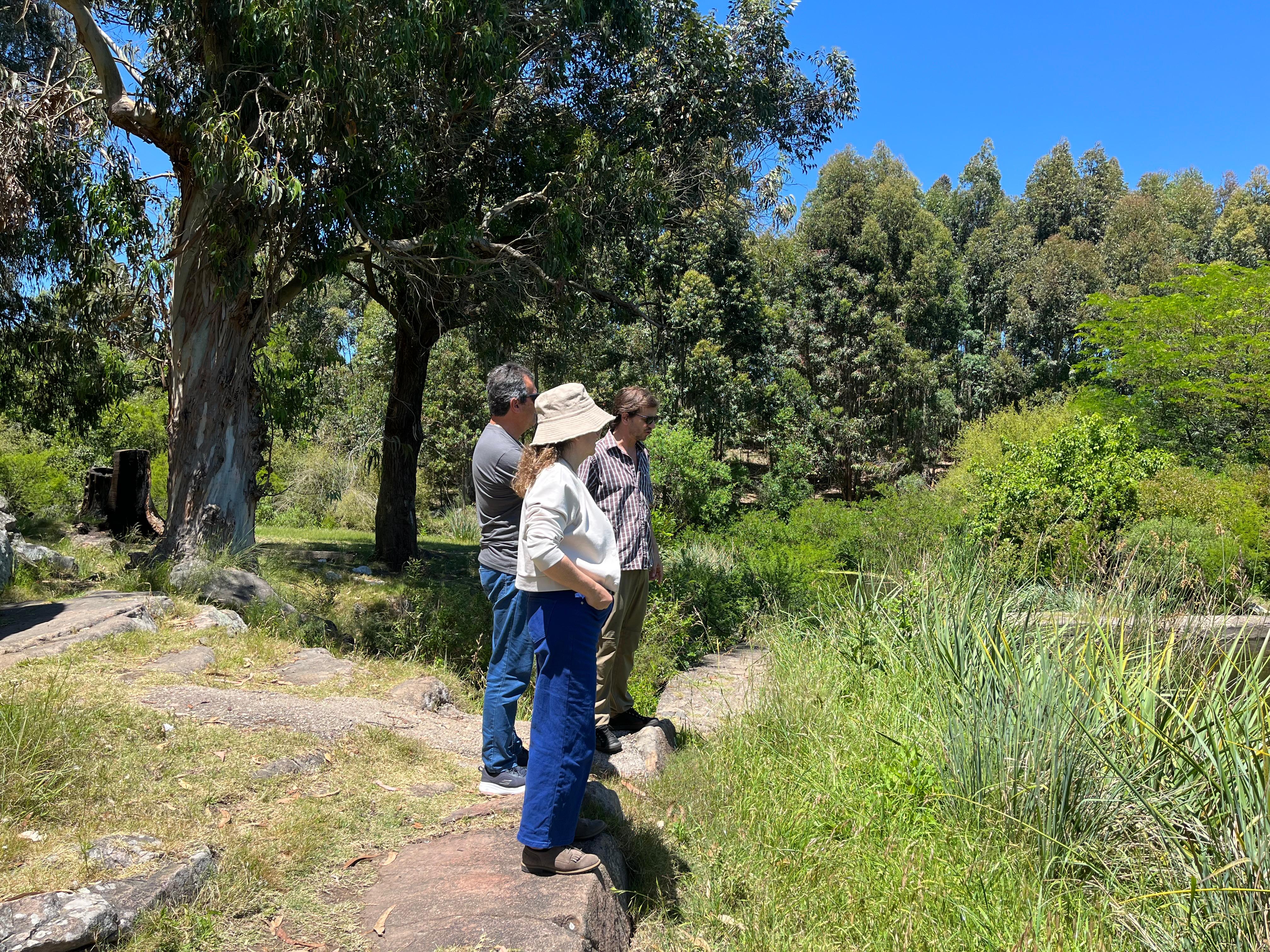 MEJORAMIENTO DEL PARQUE MEIRELES.