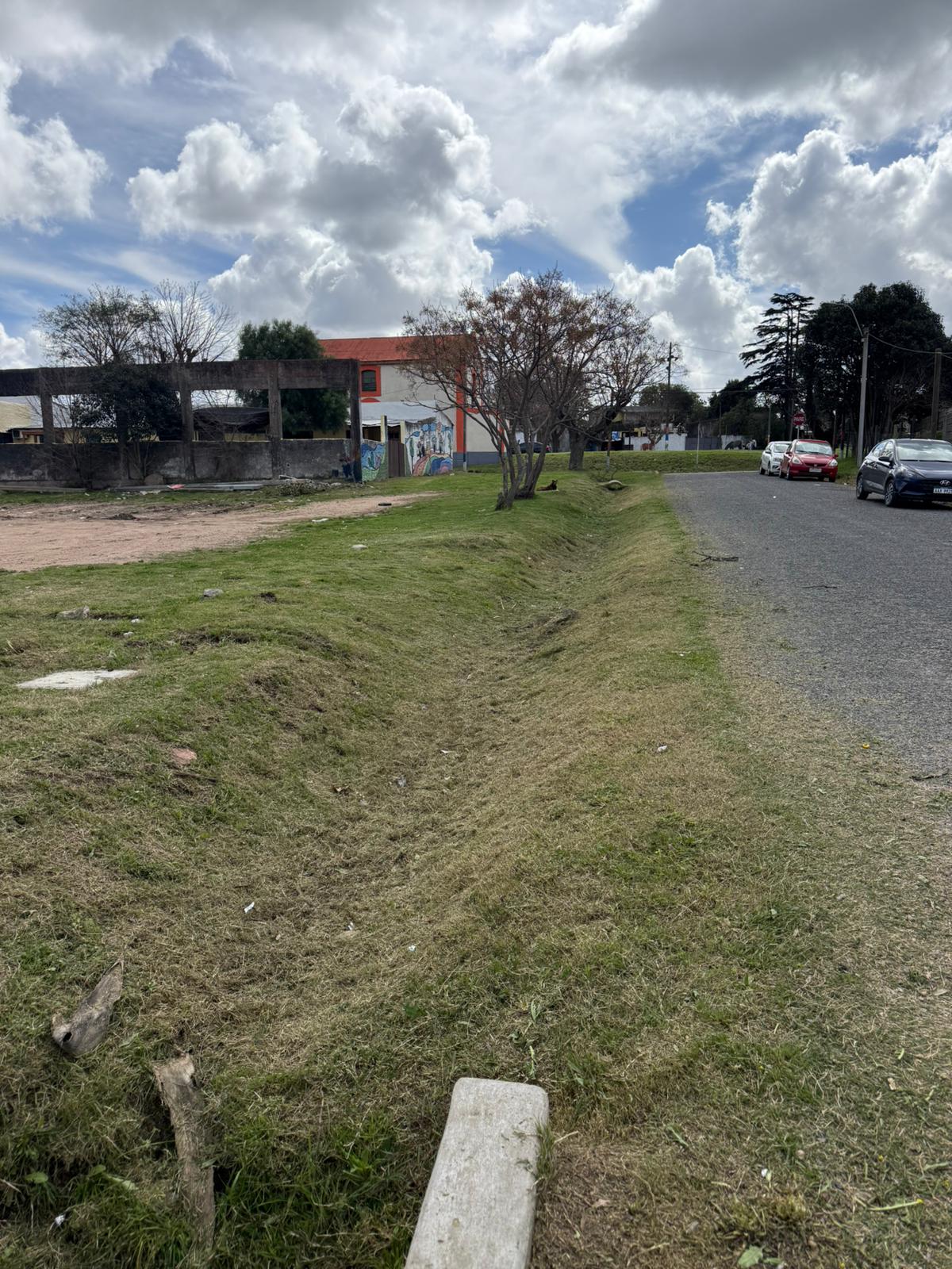 Cooperativa Cempan realizó trabajos de poda y mantenimiento en nuestro municipio