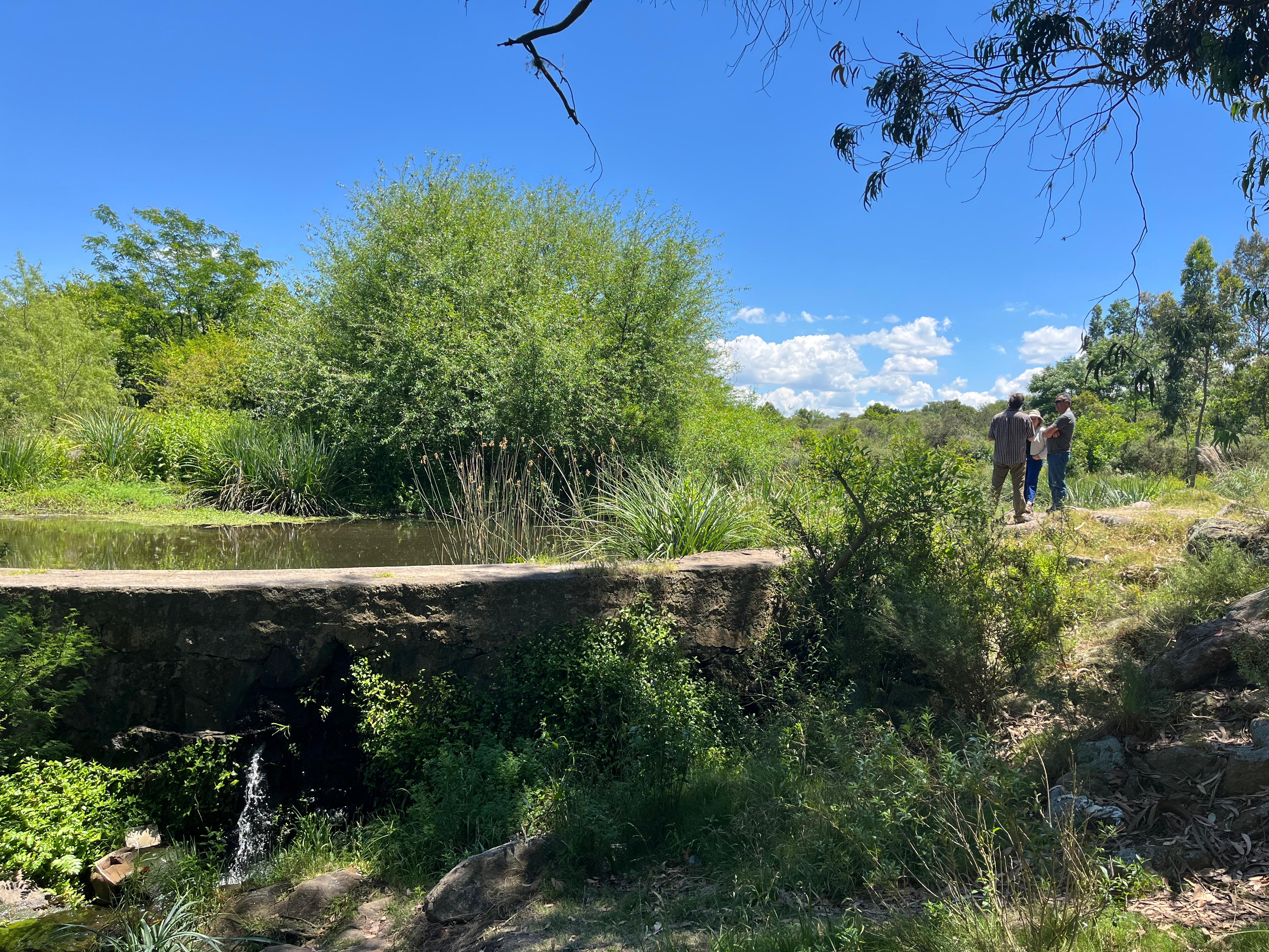 MEJORAMIENTO DEL PARQUE MEIRELES.