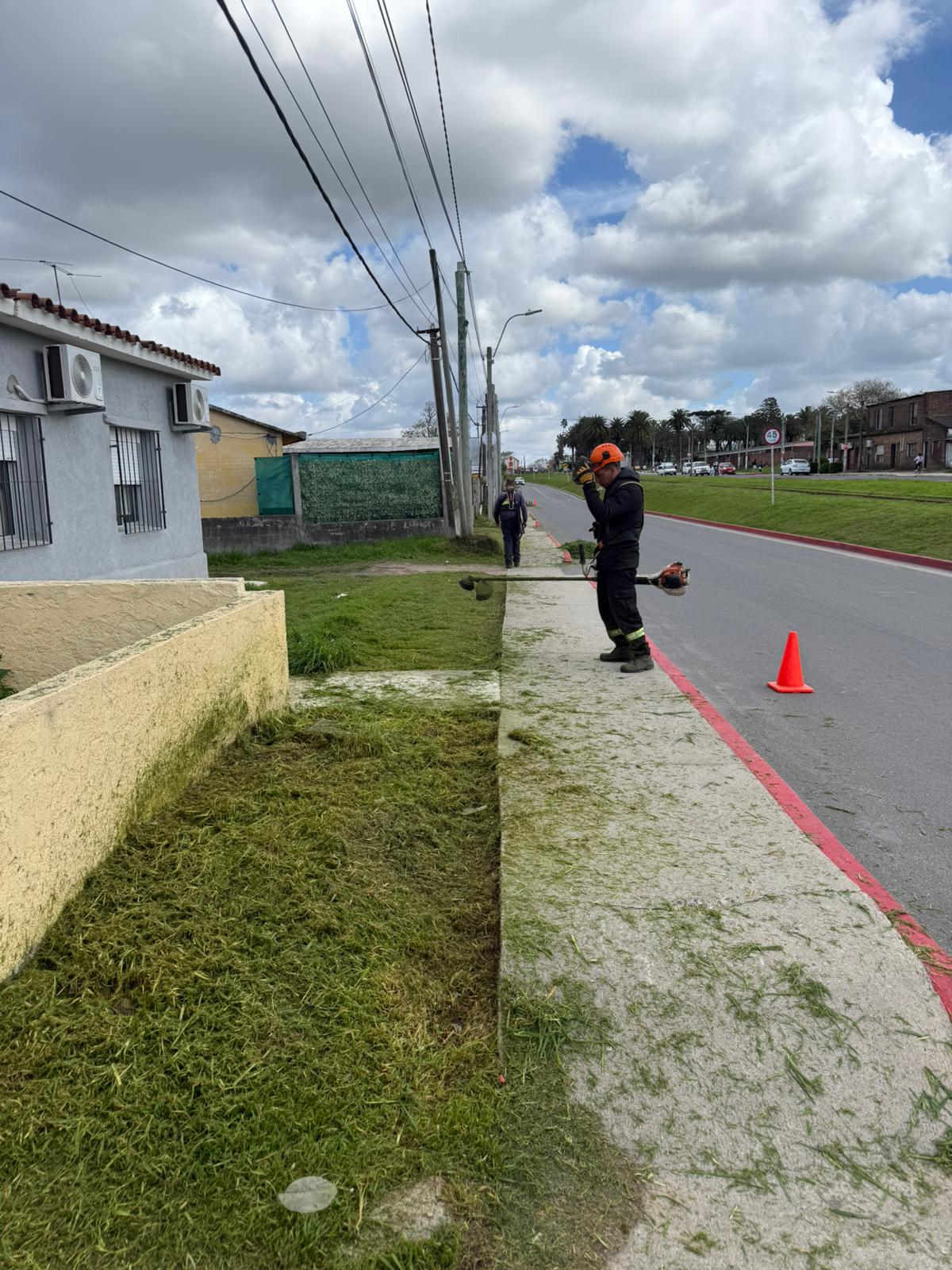 Cooperativa Cempan realizó trabajos de poda y mantenimiento en nuestro municipio
