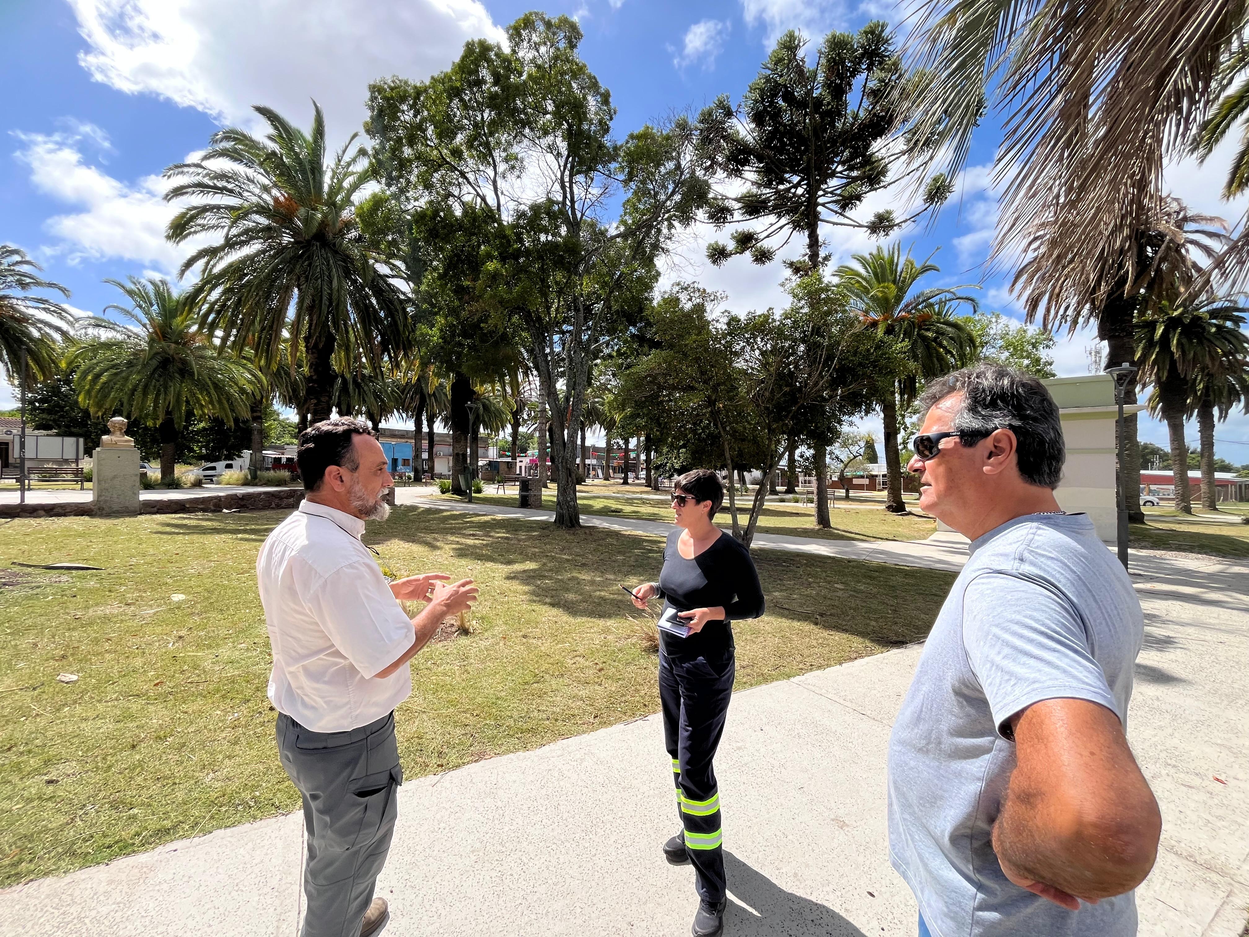 TRATAMIENTOS Y EVALUACIÓN DE REFORESTACIÓN EN LA PLAZA DIEGO PONS.