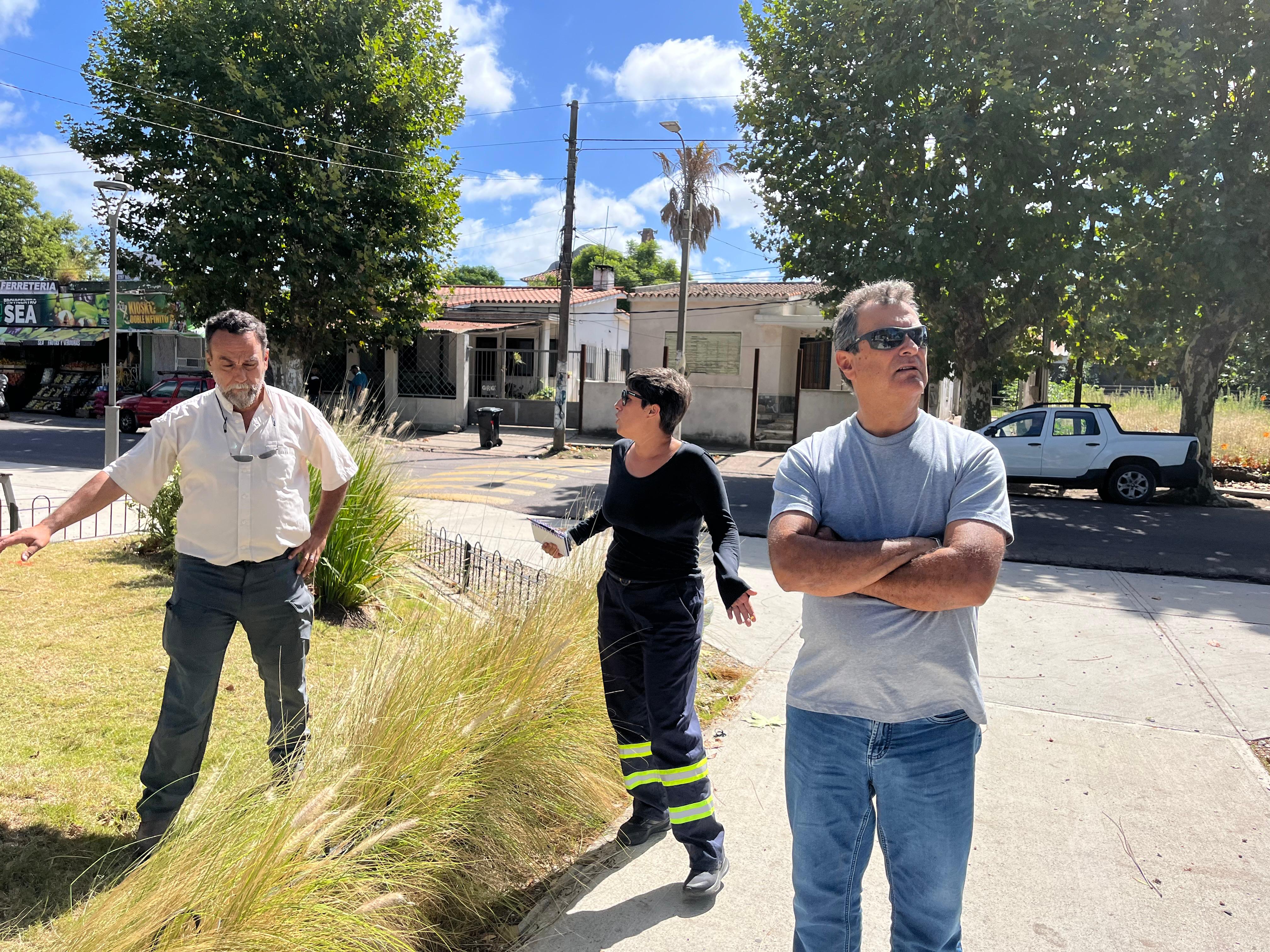 TRATAMIENTOS Y EVALUACIÓN DE REFORESTACIÓN EN LA PLAZA DIEGO PONS.