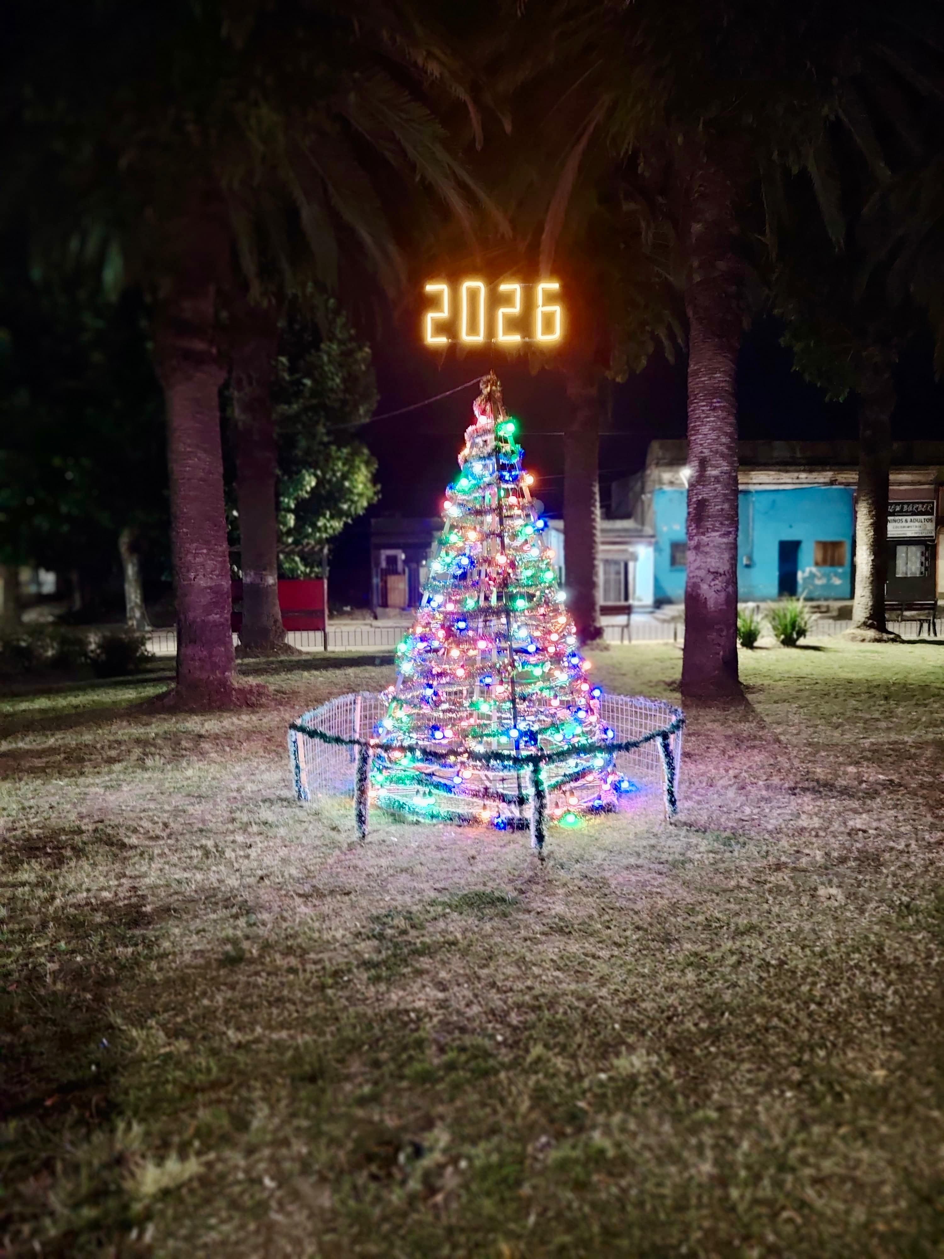 Nuevo arbolito de Navidad en la Plaza Diego Pons.