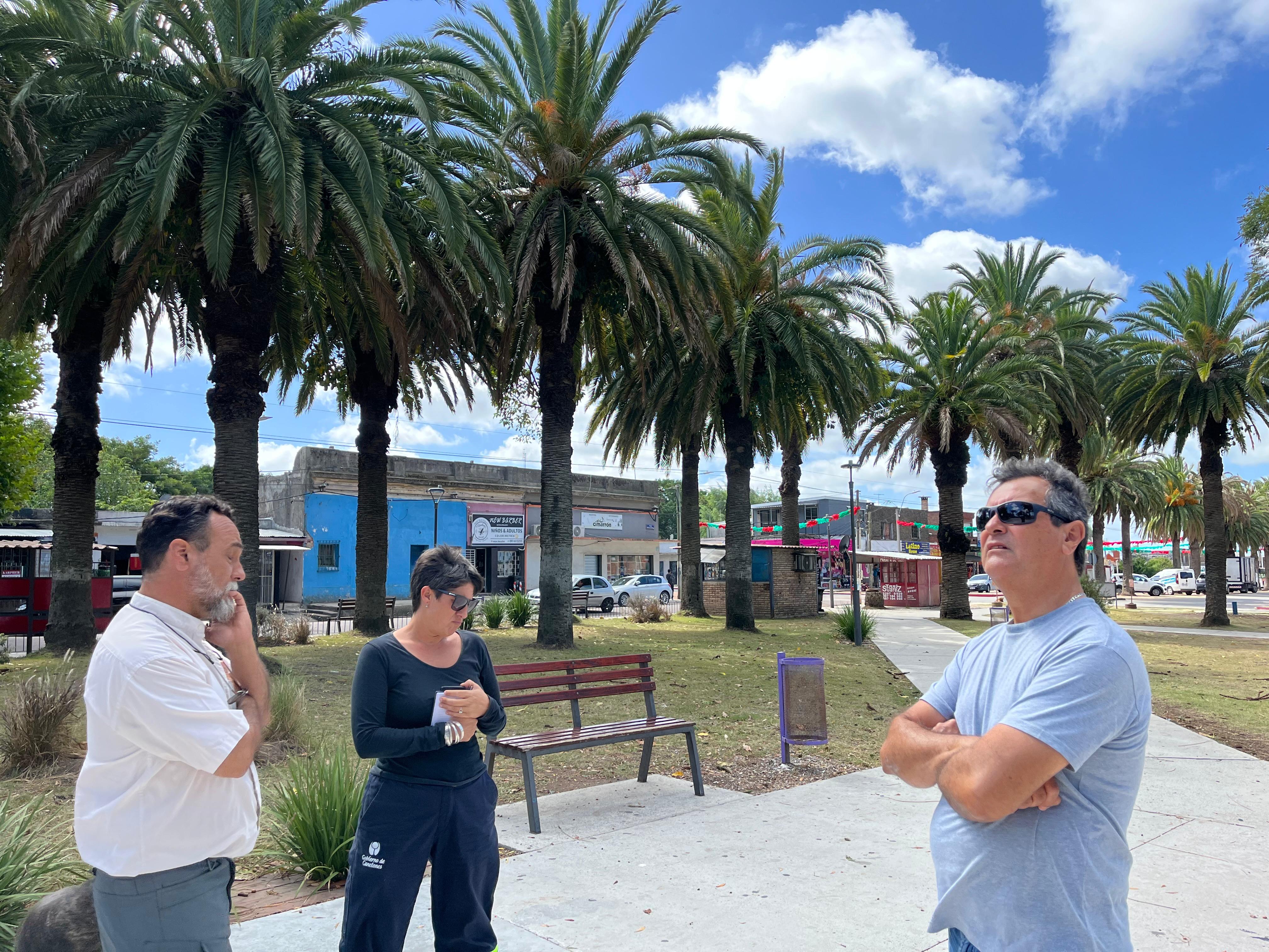 TRATAMIENTOS Y EVALUACIÓN DE REFORESTACIÓN EN LA PLAZA DIEGO PONS.