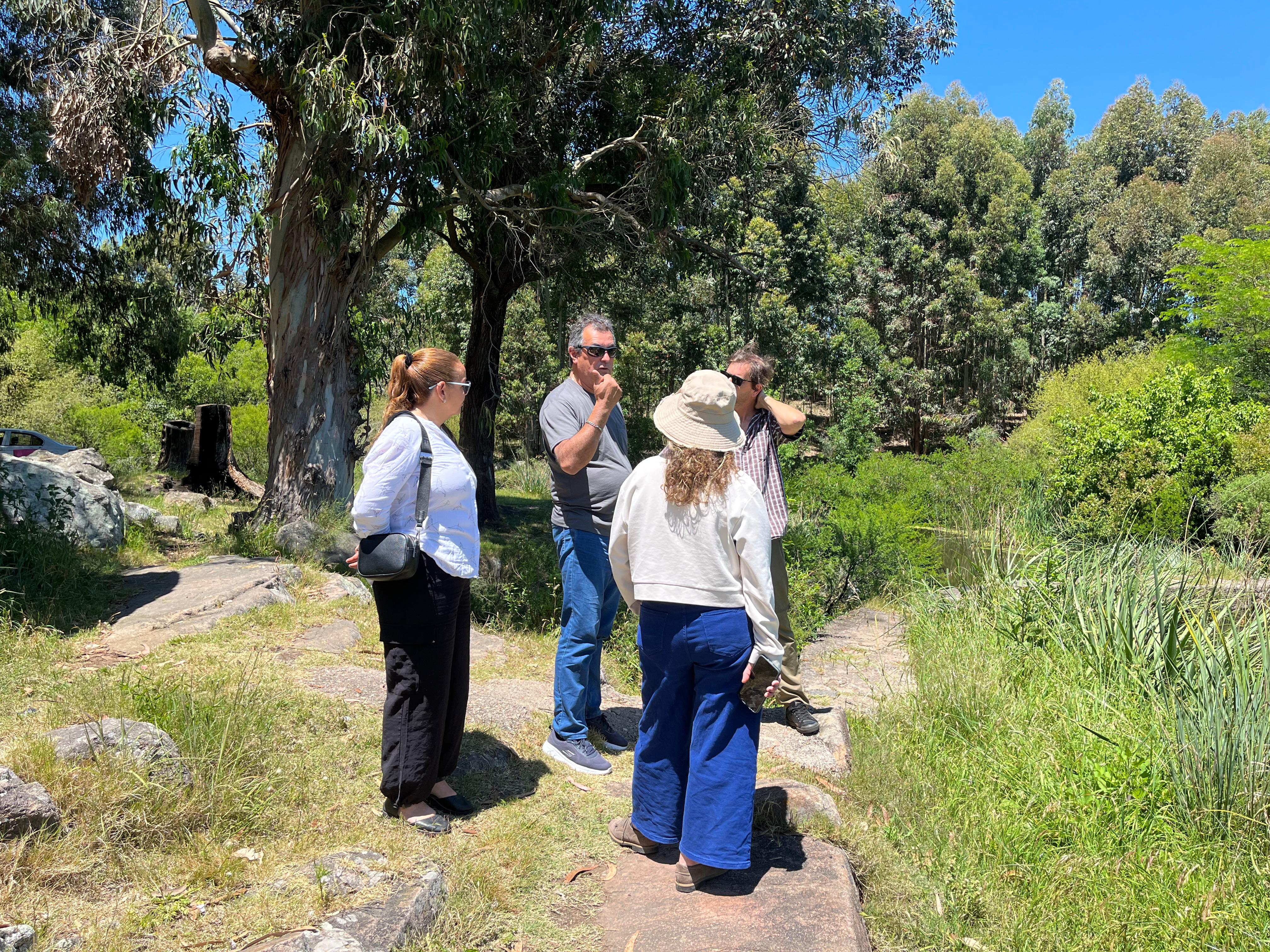 MEJORAMIENTO DEL PARQUE MEIRELES. MEJORAMIENTO DEL PARQUE MEIRELES.